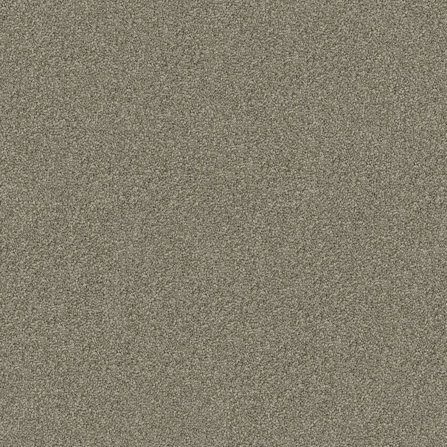 Domain Rise carpet in Smoke Haze