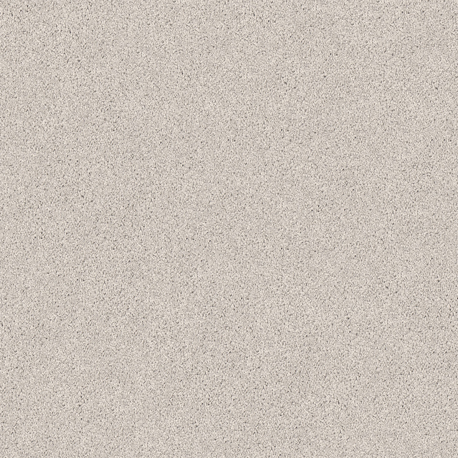 Regal Elegance carpet in Natural Clay