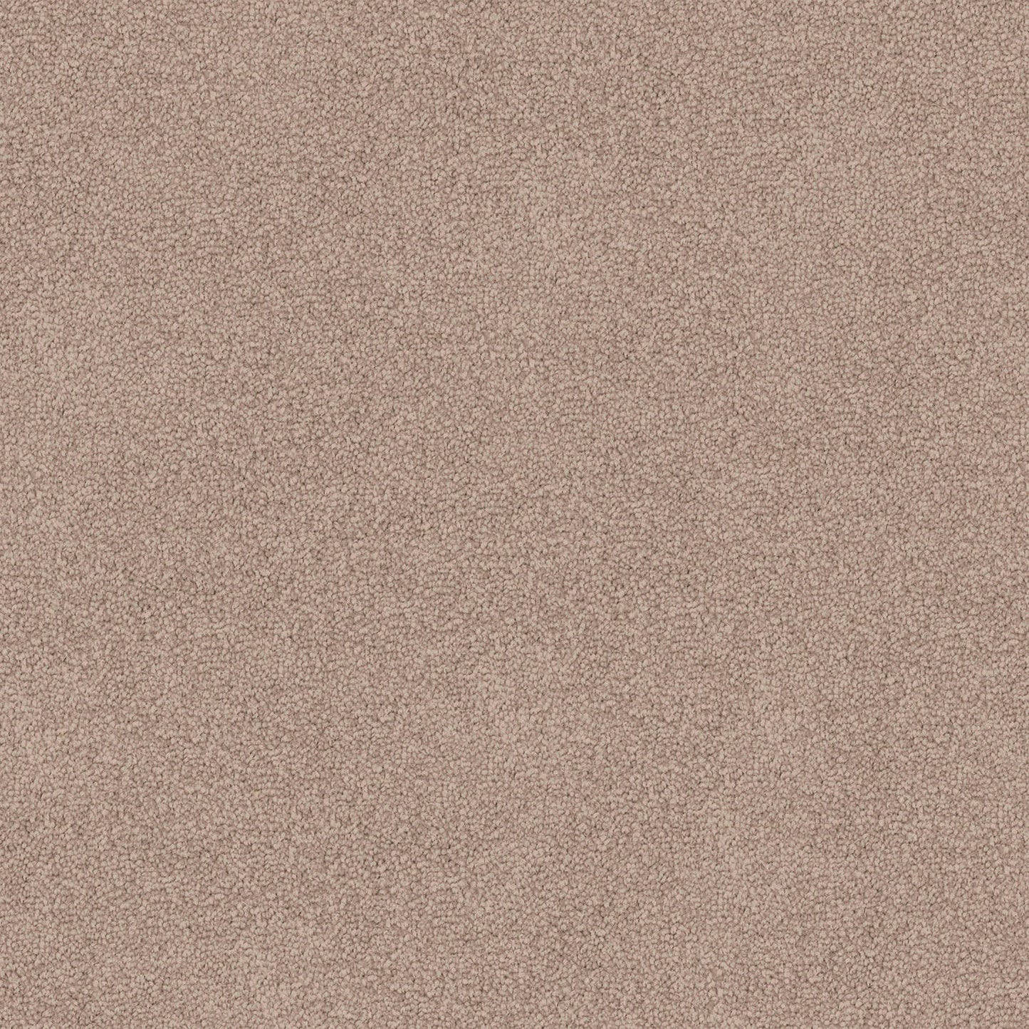 Infatuation carpet in Stone Beige