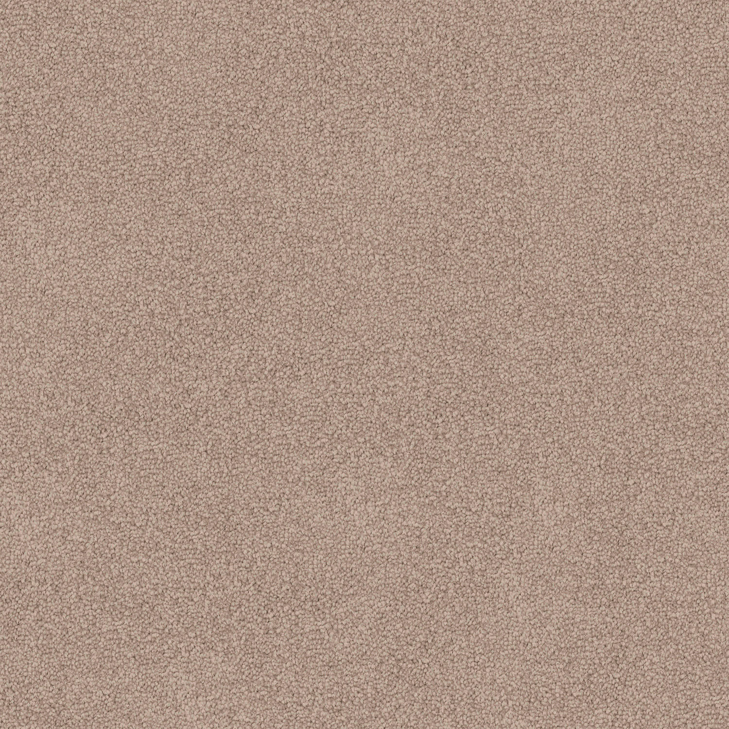 Infatuation carpet in Stone Beige