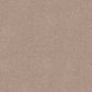 Infatuation carpet in Stone Beige