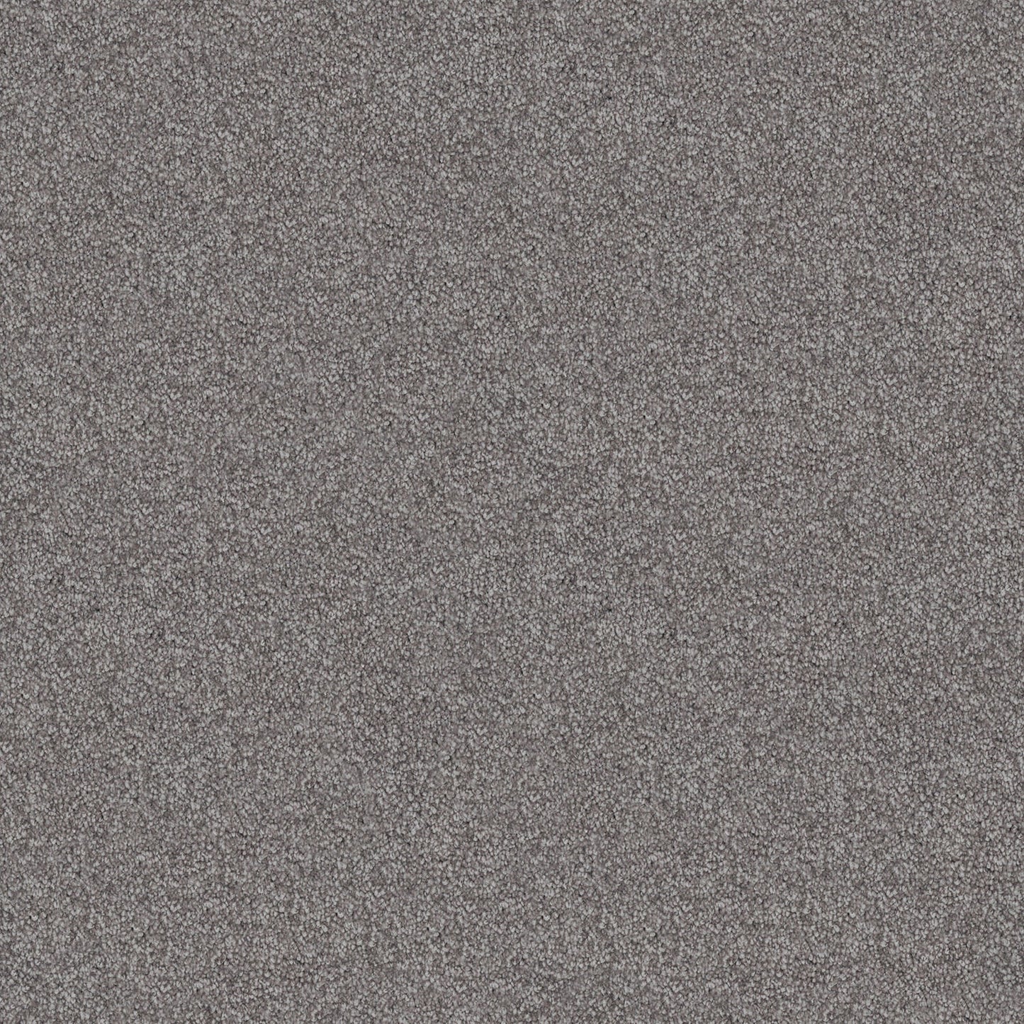 Velura carpet in Cast Iron