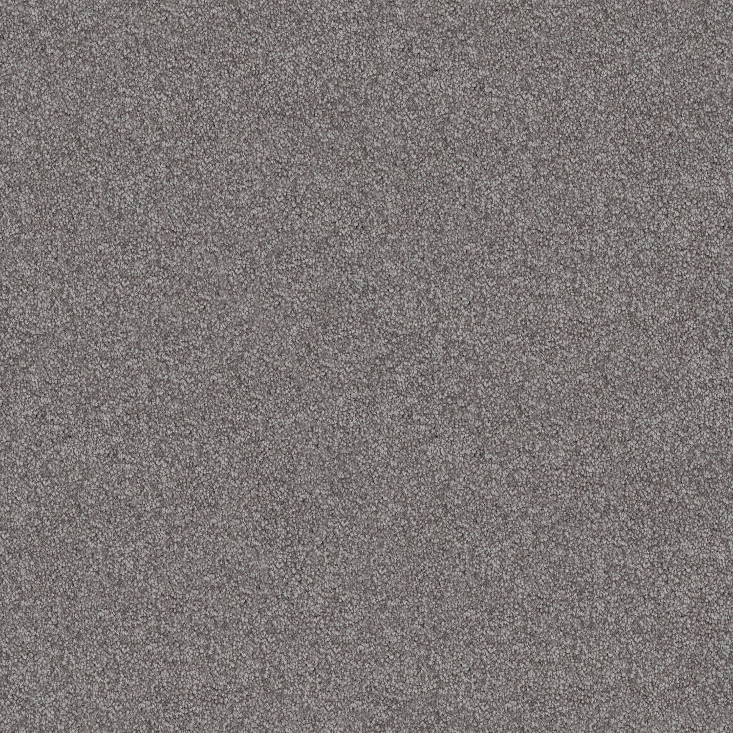 Velura carpet in Cast Iron