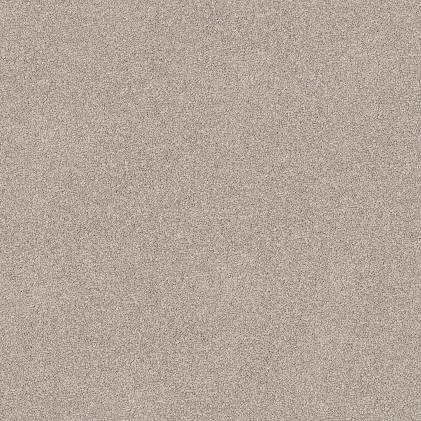 Dawn Rise carpet in Sandy Day