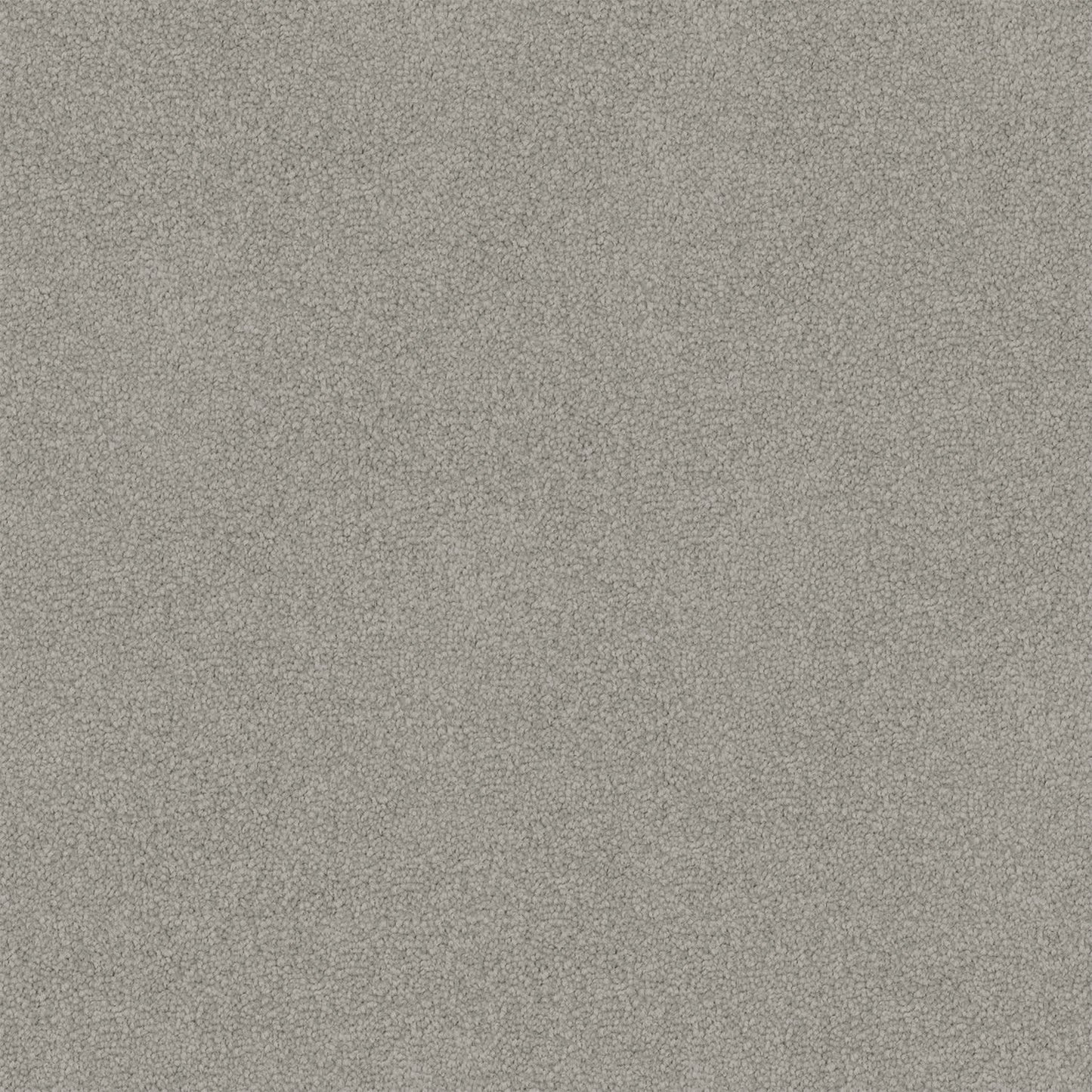 Nightfall carpet in Grey Haze