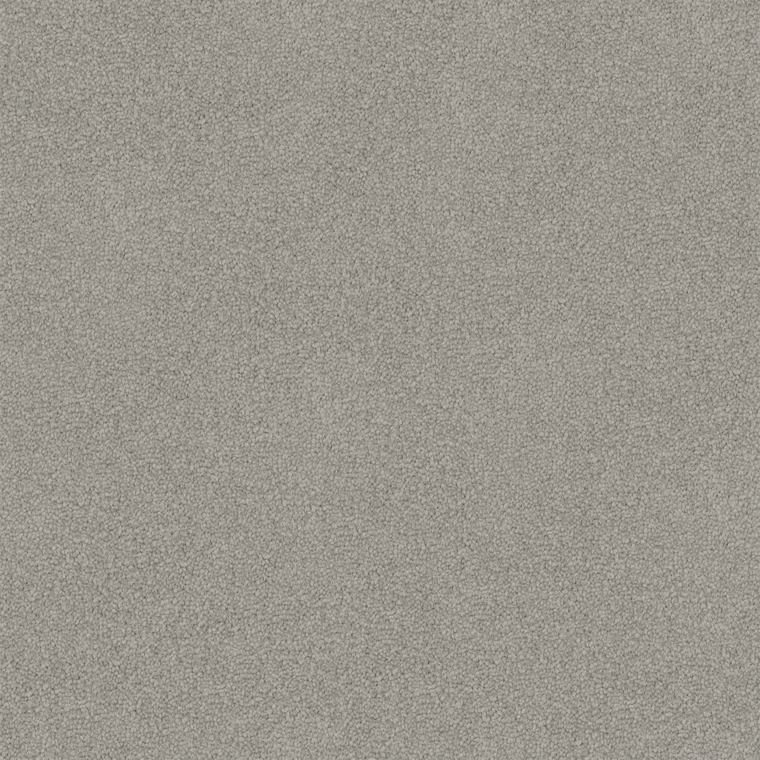 Nightfall carpet in Grey Haze