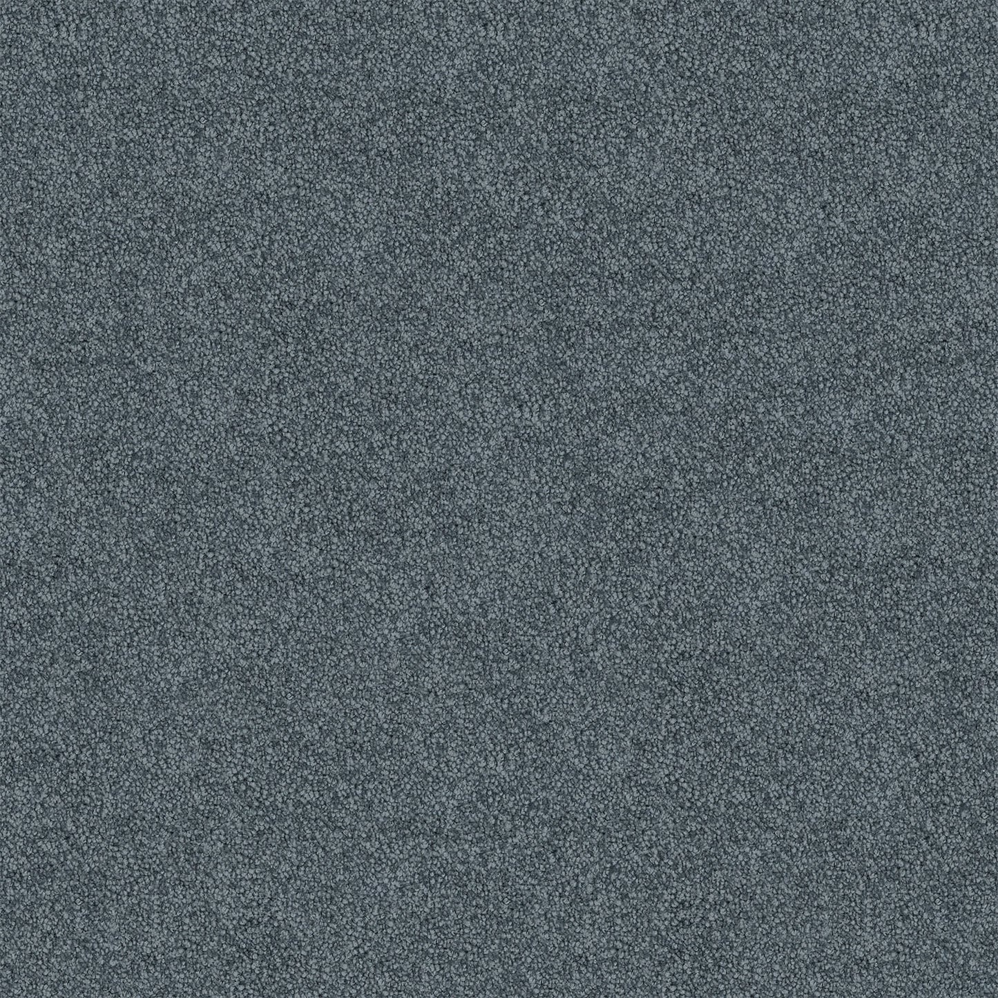 Barossa carpet in Stormy Sea