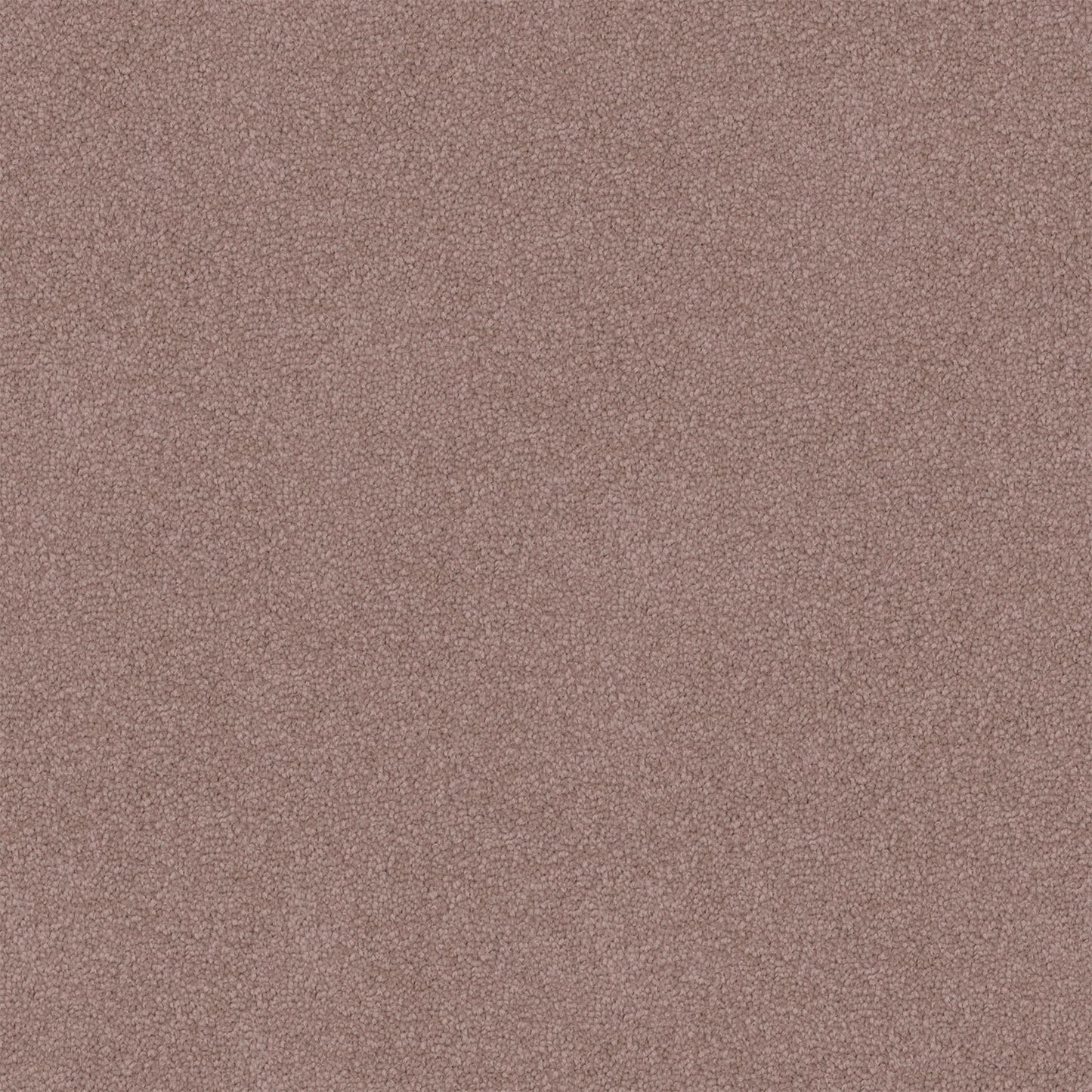 Dawn Rise carpet in Sunset Pink