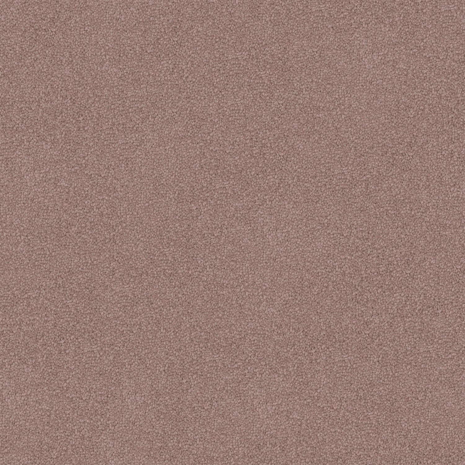 Dawn Rise carpet in Sunset Pink