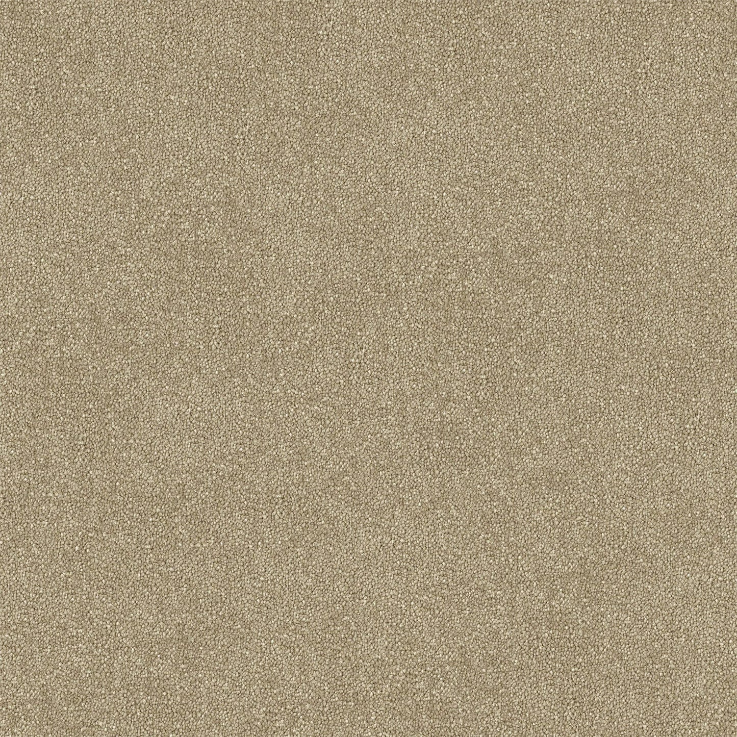 Armadale carpet in Sandbar