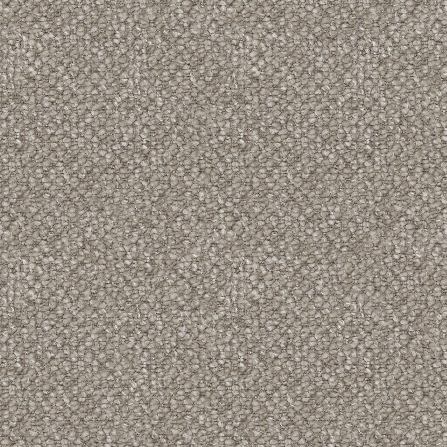 Hillcrest carpet in Silver Oak