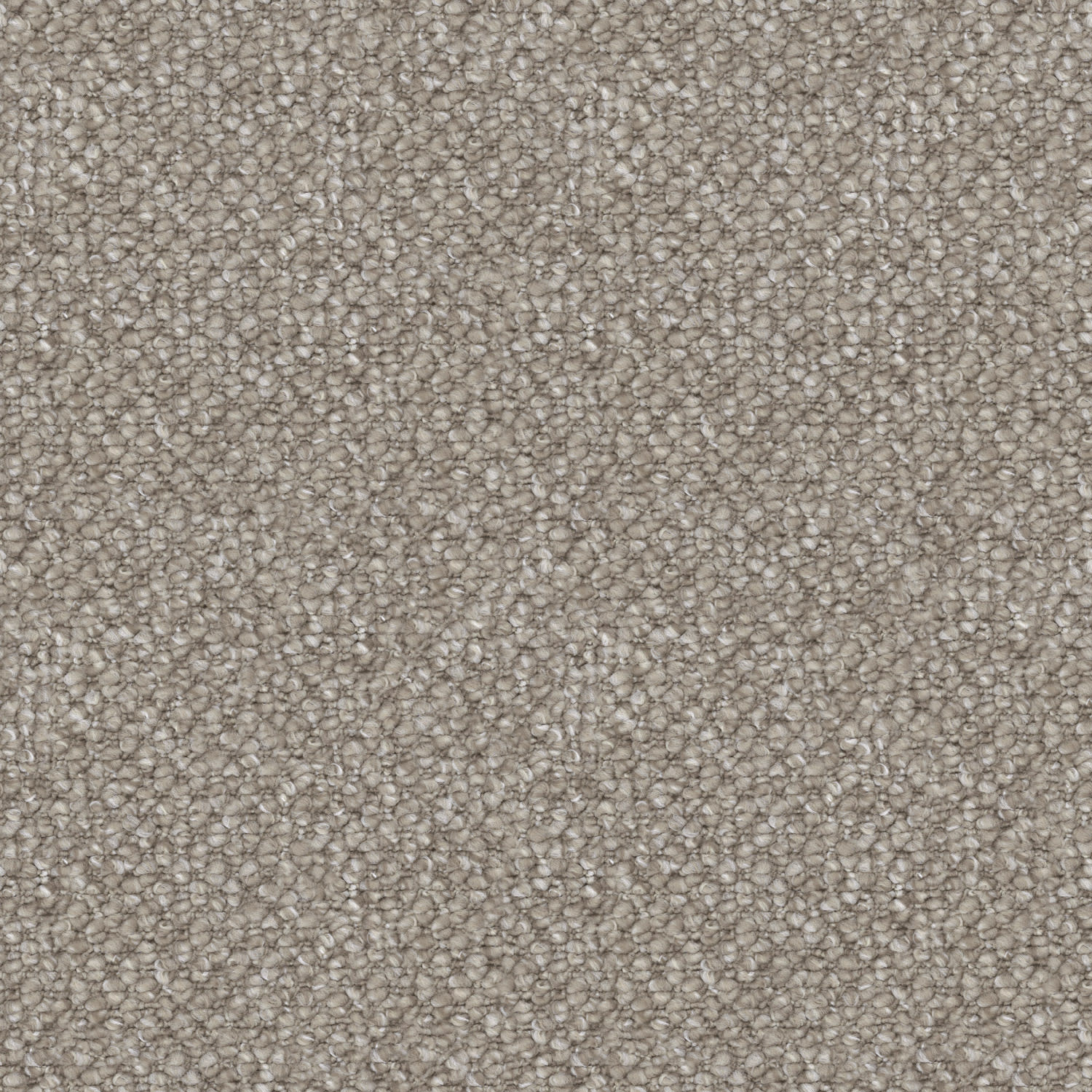 Hillcrest carpet in Silver Oak