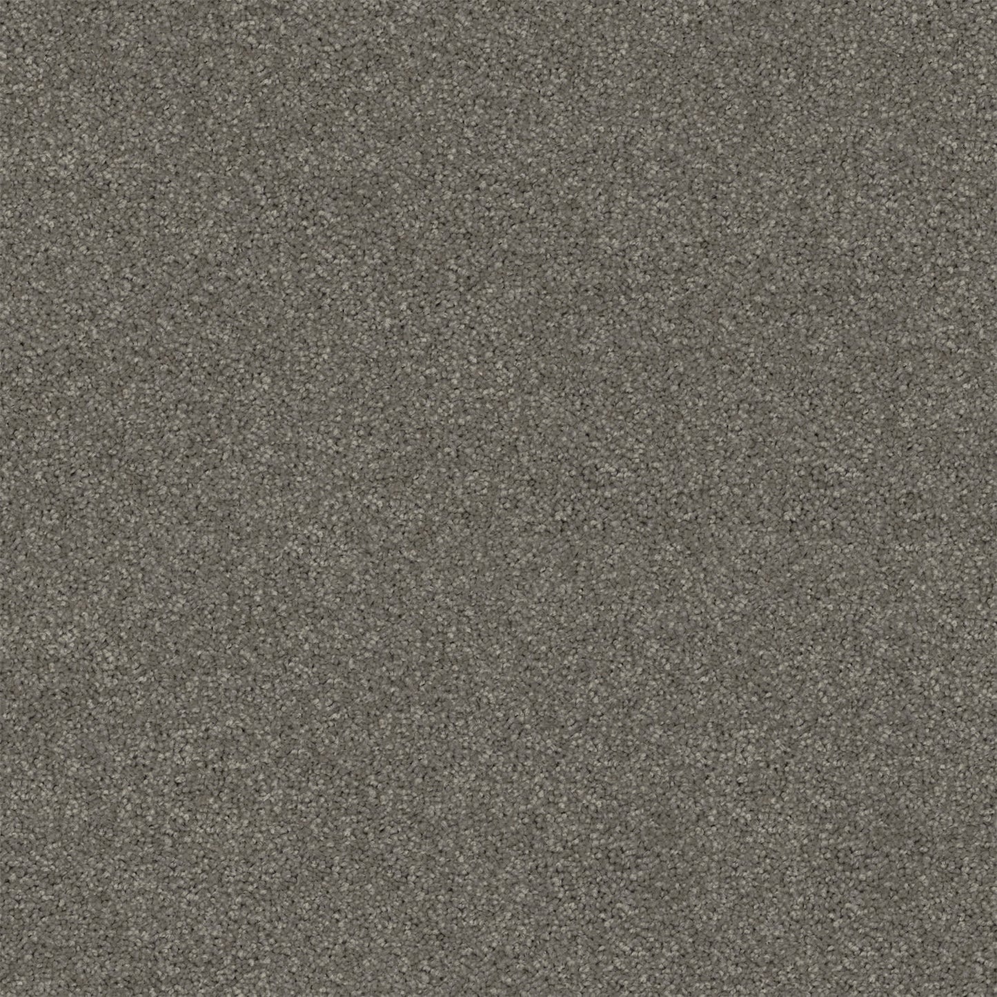 Revive carpet in Grey Owl