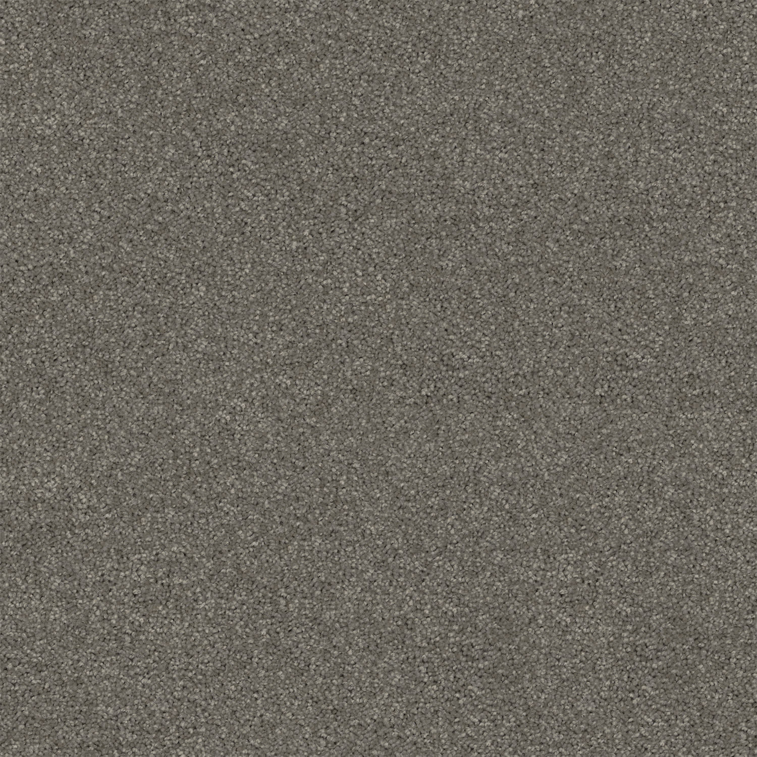 Revive carpet in Grey Owl