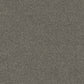Revive carpet in Grey Owl