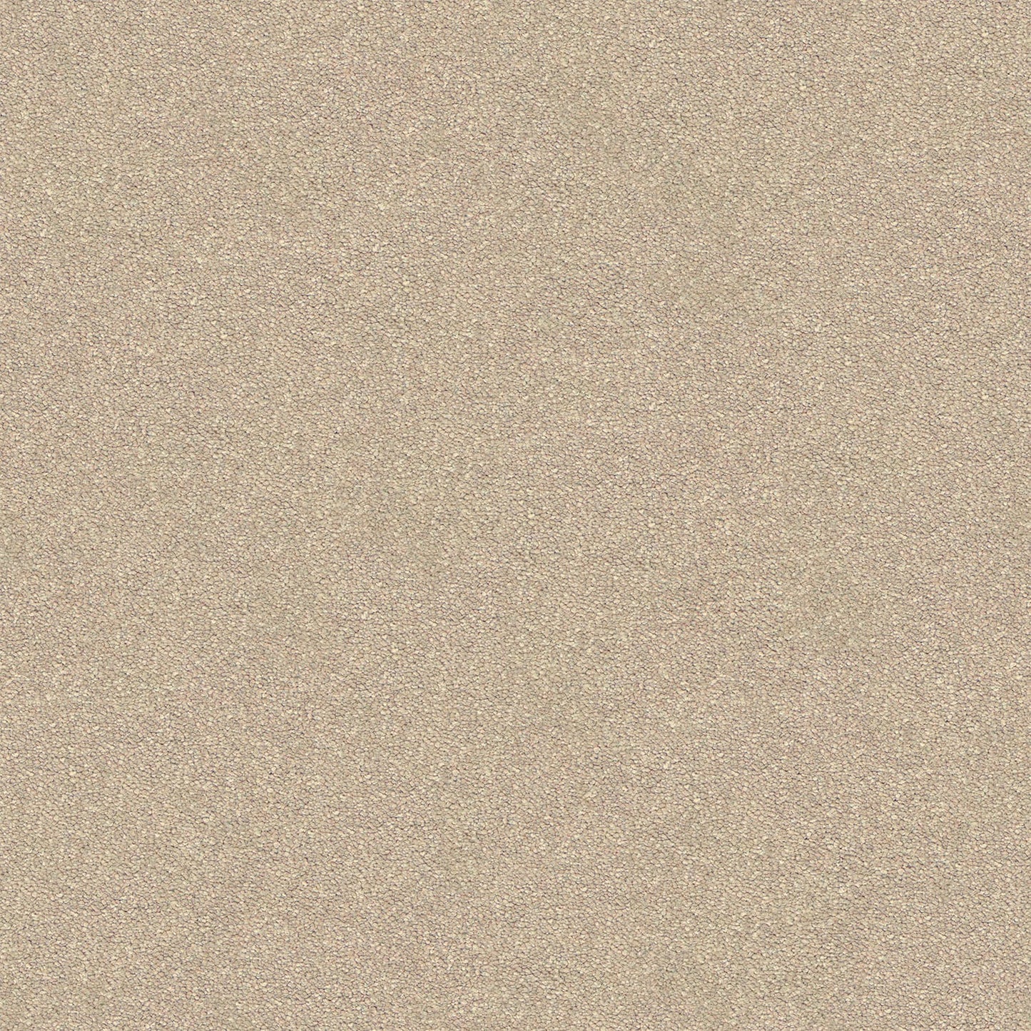 Dream Shadows carpet in Pearl
