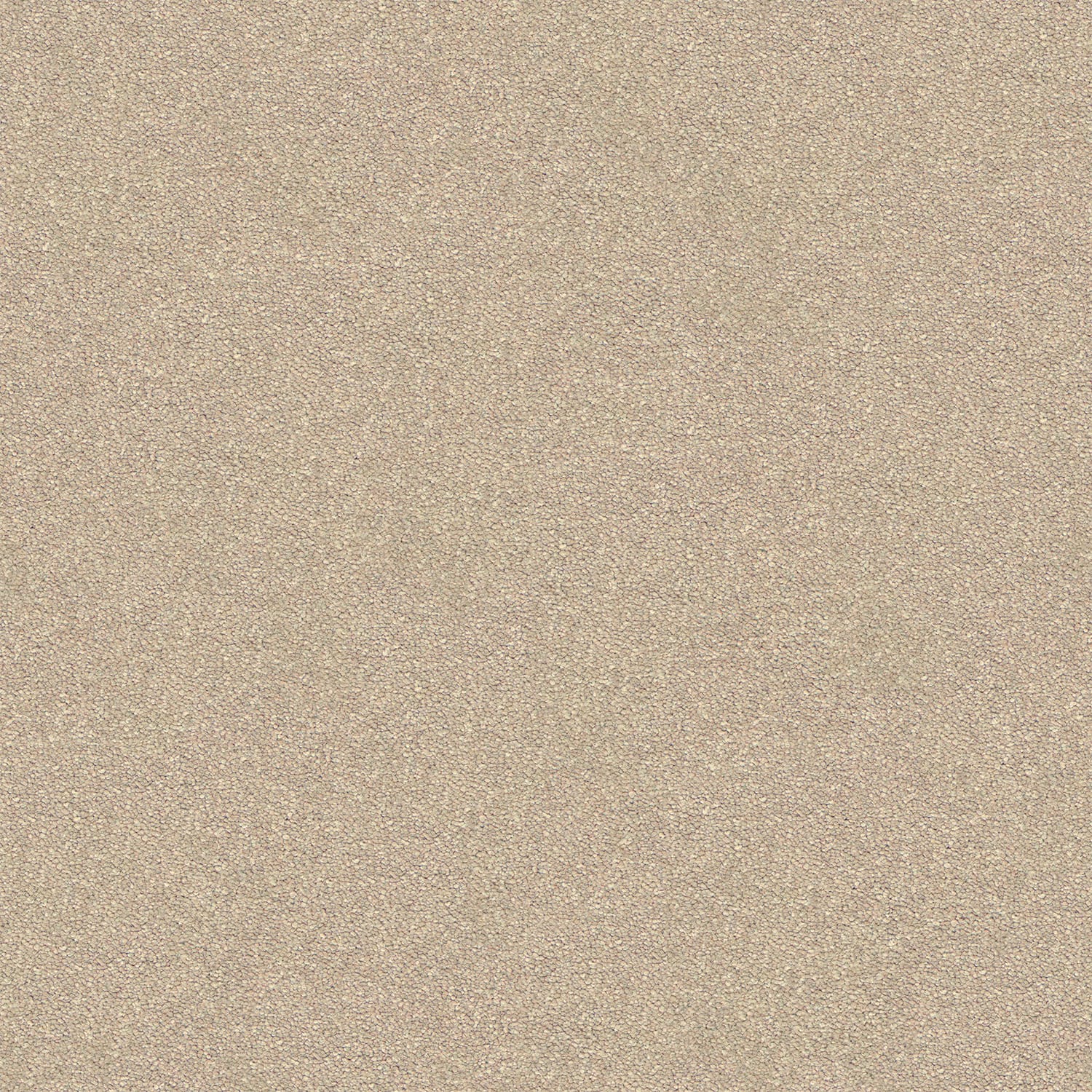 Dream Shadows carpet in Pearl