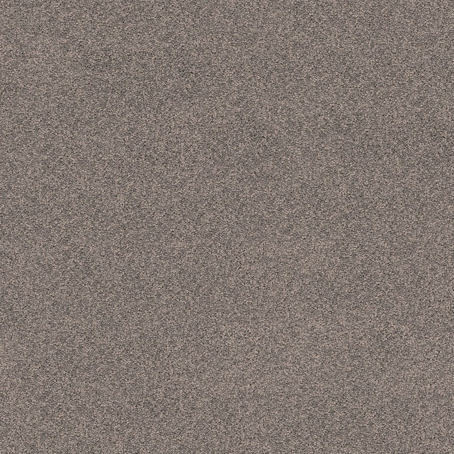 Gentle Essence carpet in Shadowcast