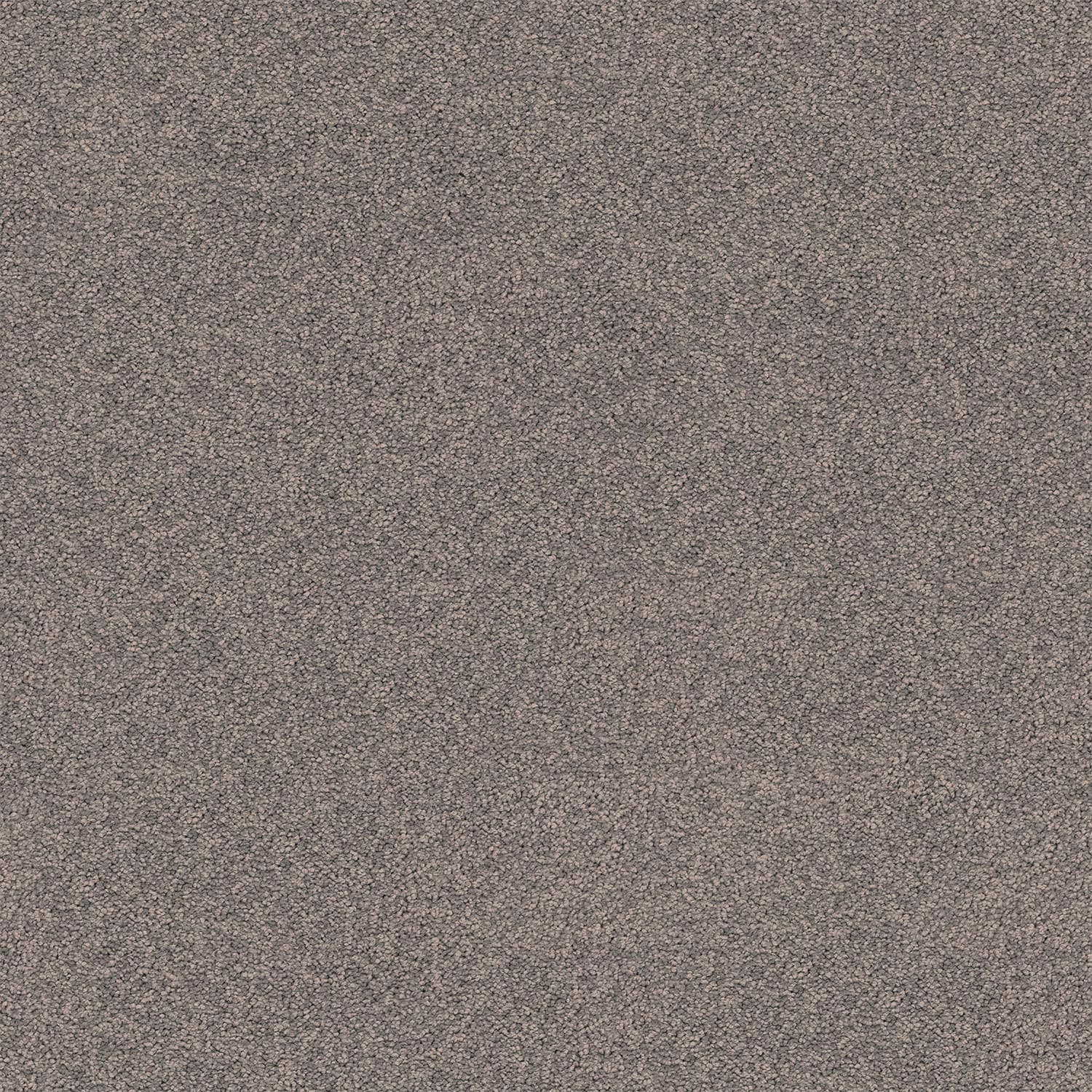 Gentle Essence carpet in Shadowcast