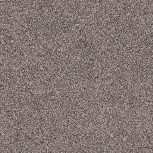 Gentle Essence carpet in Shadowcast