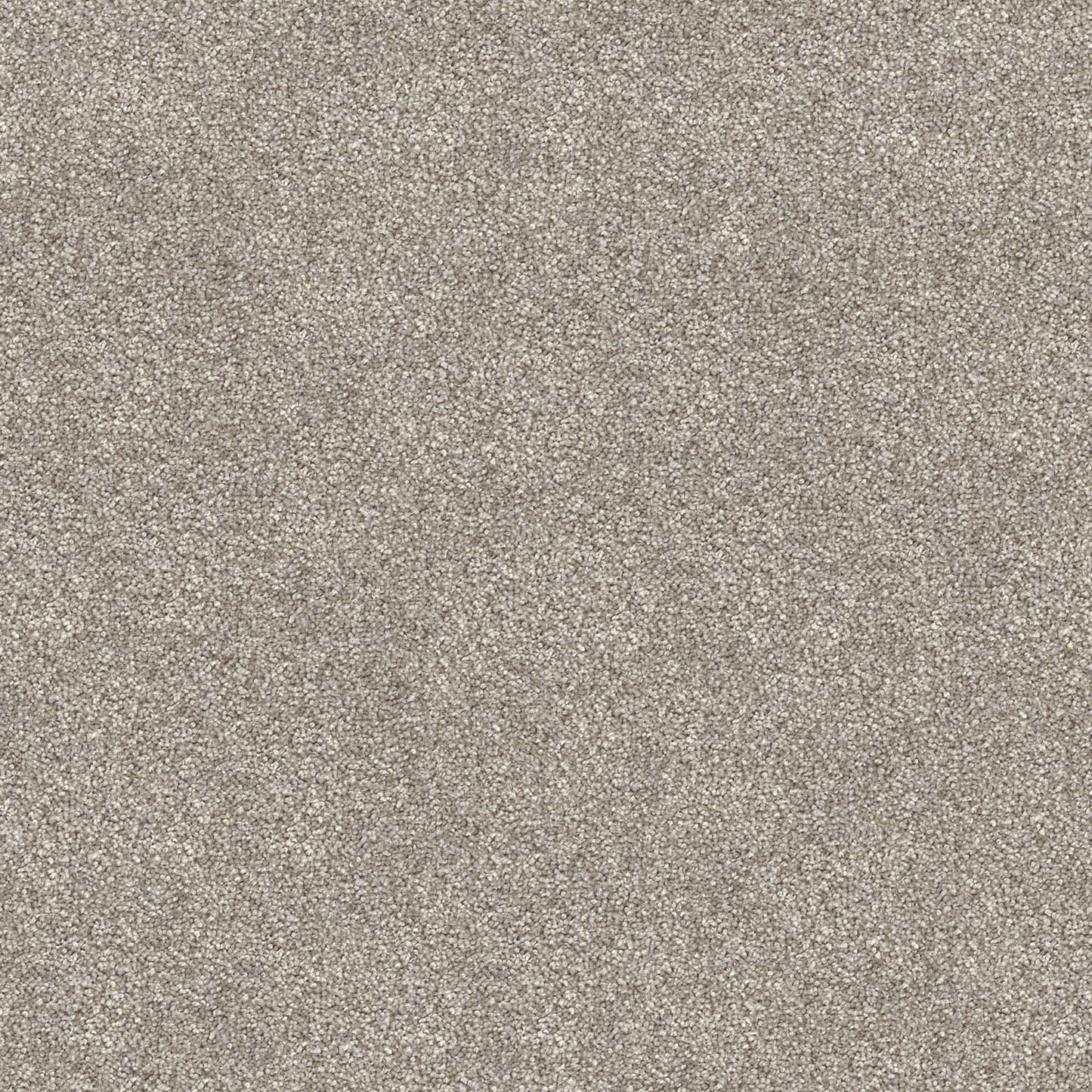 Domain Rise carpet in Ghostly Grey