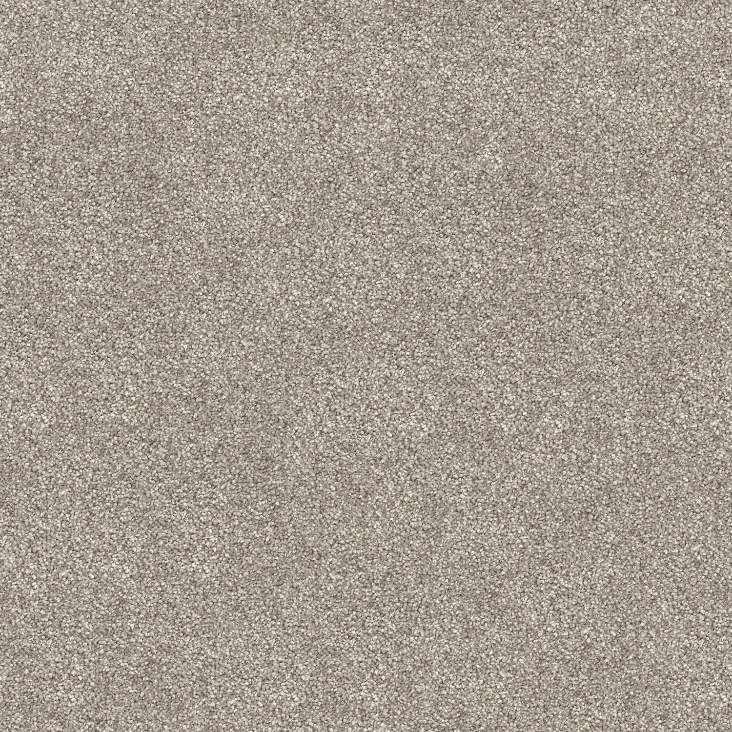 Domain Rise carpet in Ghostly Grey