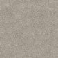 Domain Rise carpet in Ghostly Grey