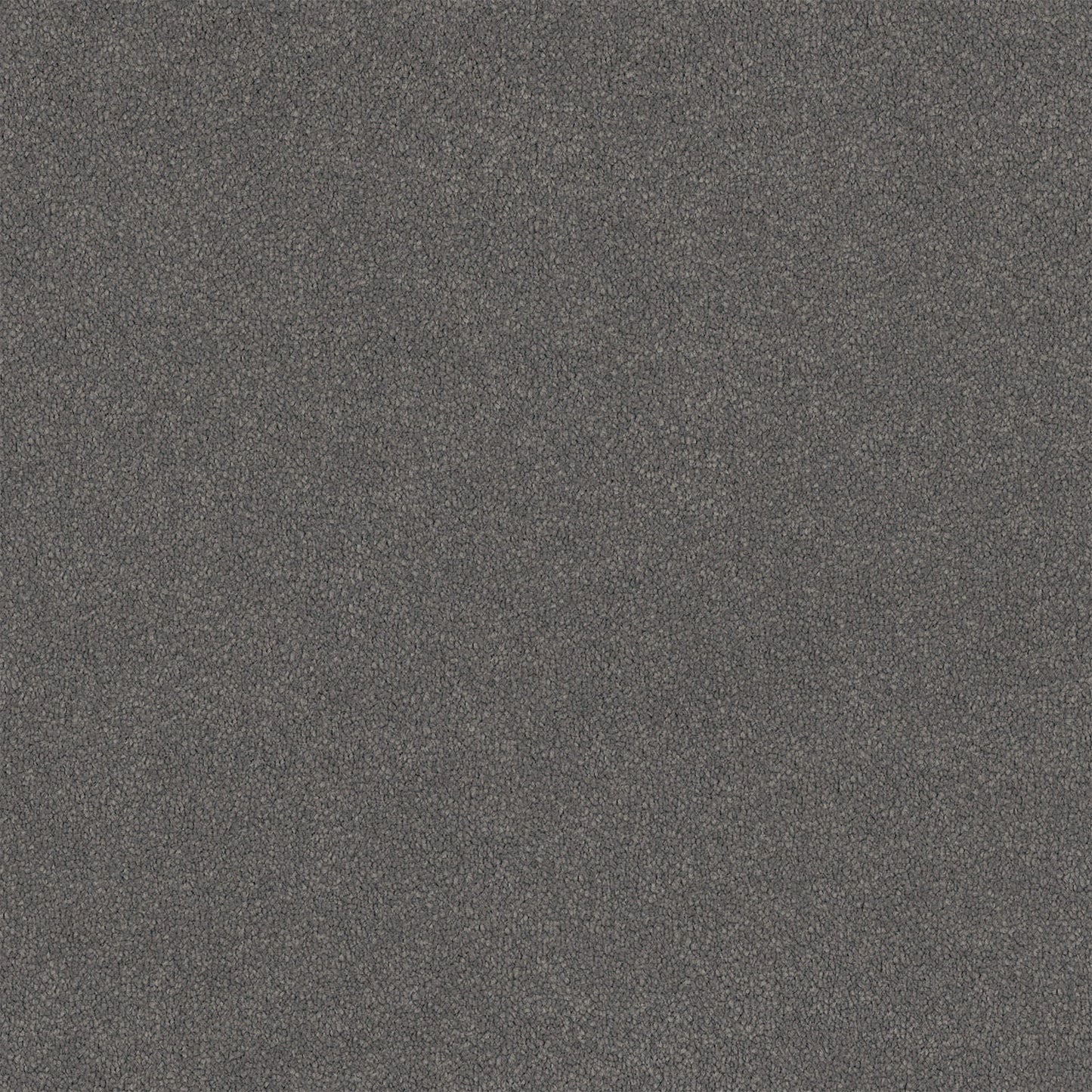 Lasting Touch carpet in Domino