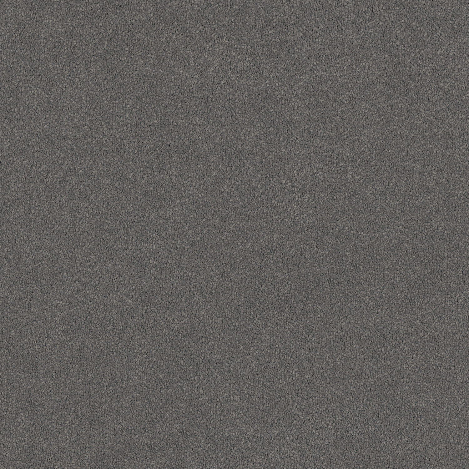 Lasting Touch carpet in Domino