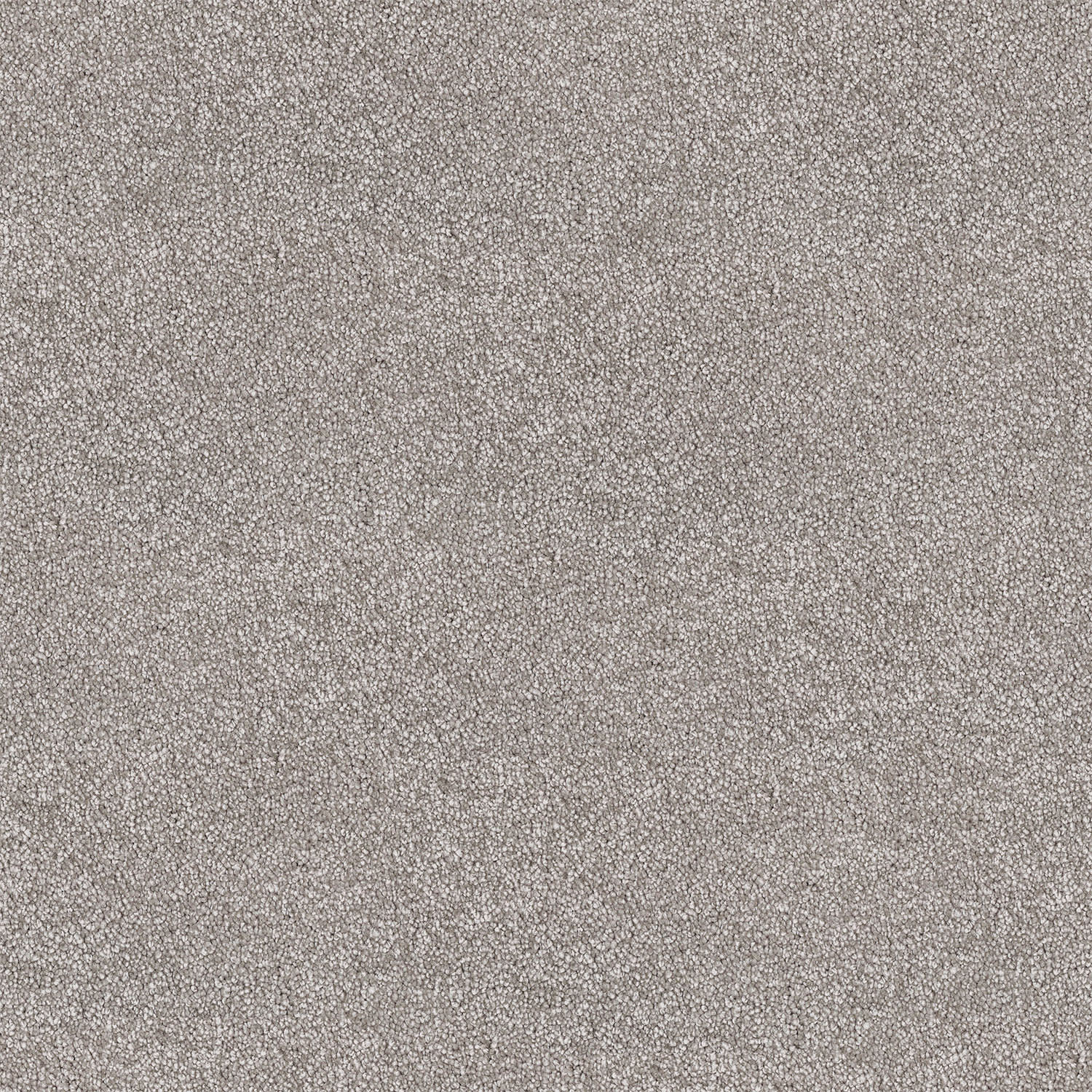 Barossa carpet in Light Ash