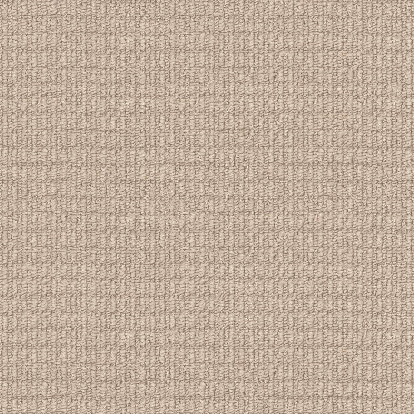 Riverbed carpet in Waterspout