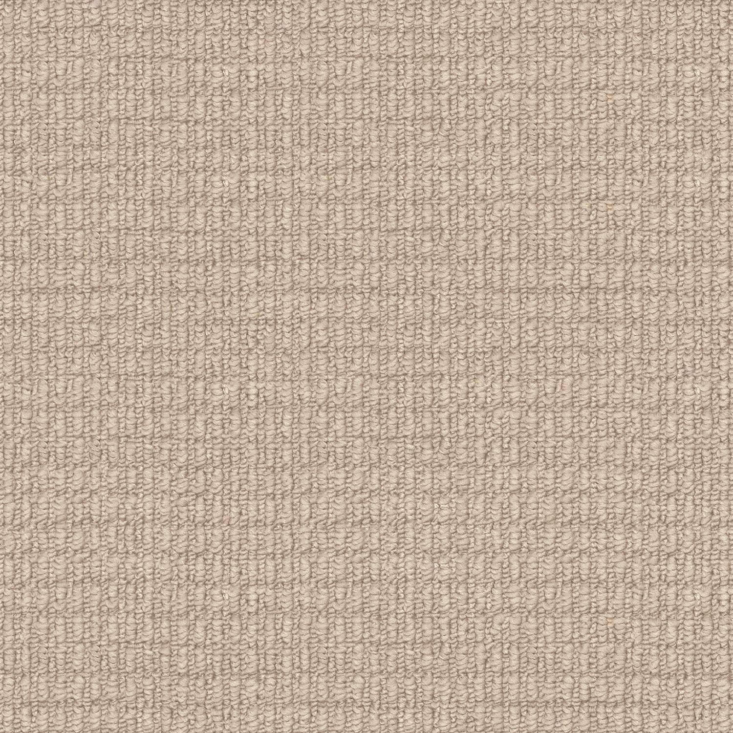 Riverbed carpet in Waterspout