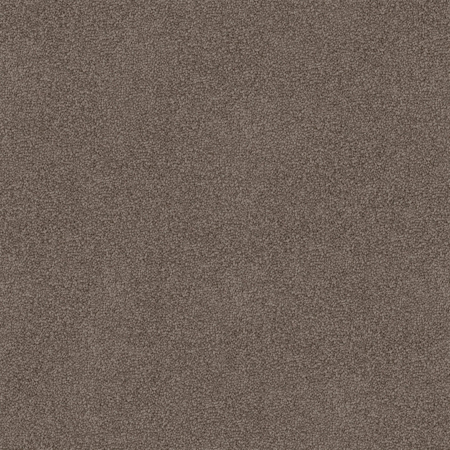 Mountain Chalet carpet in Billy Goat