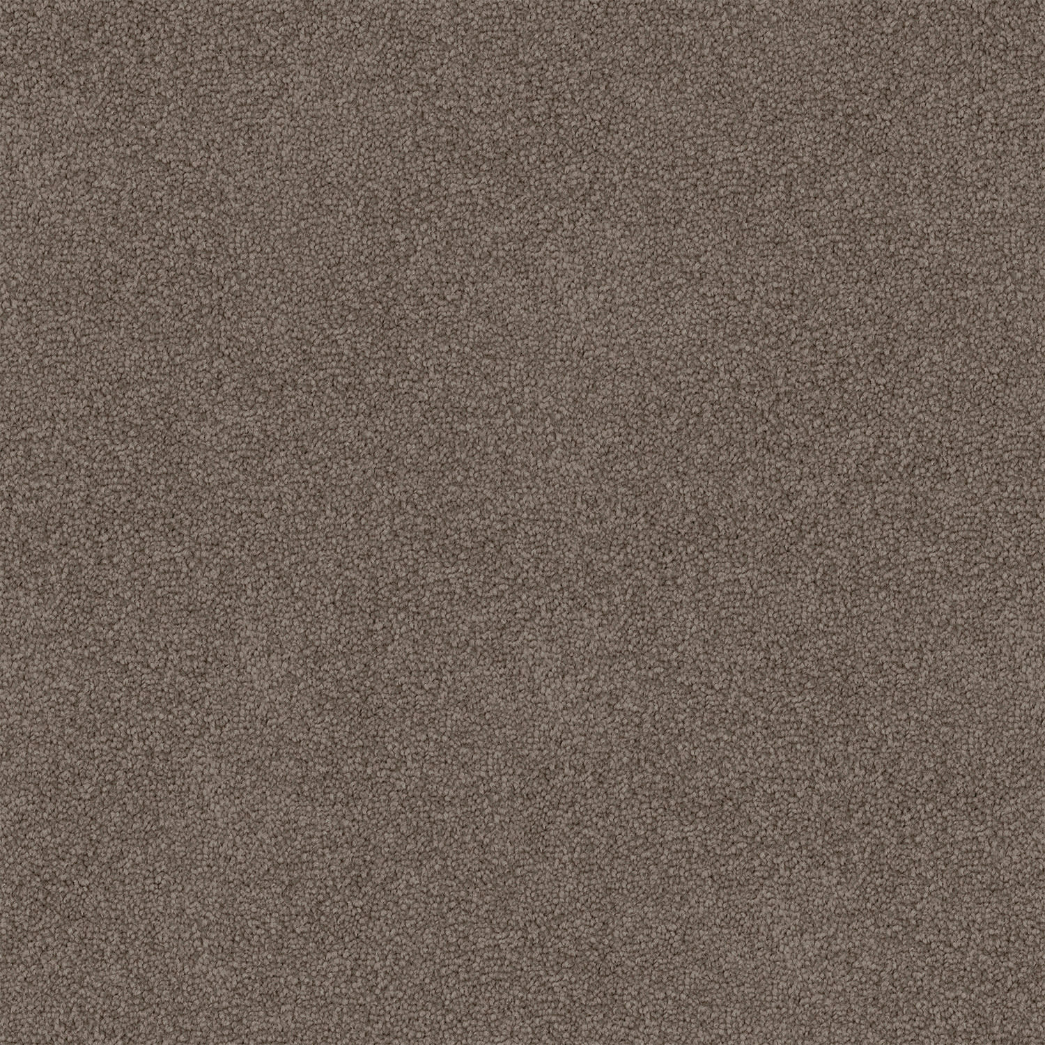 Mountain Chalet carpet in Billy Goat