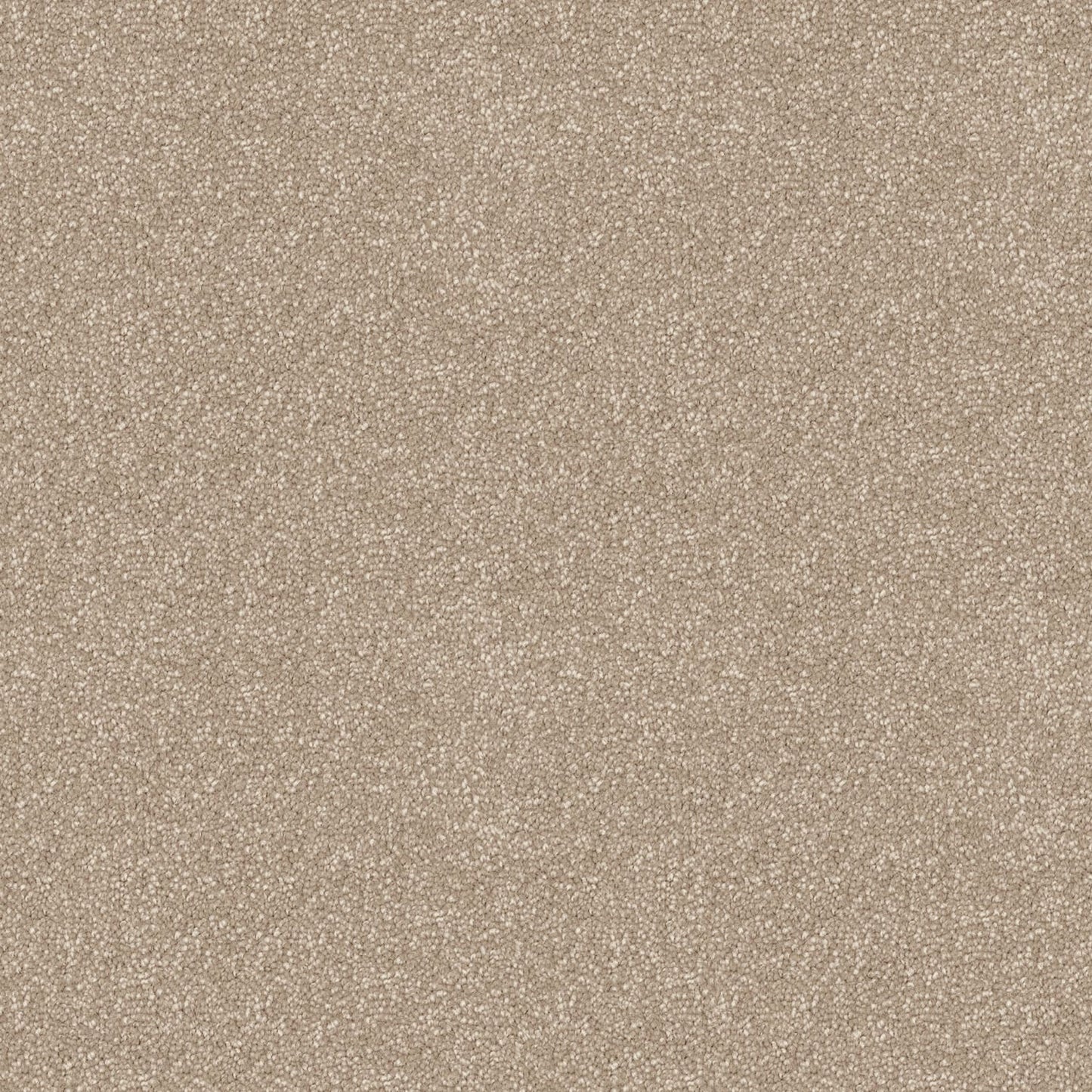 Skyway carpet in Dreamy