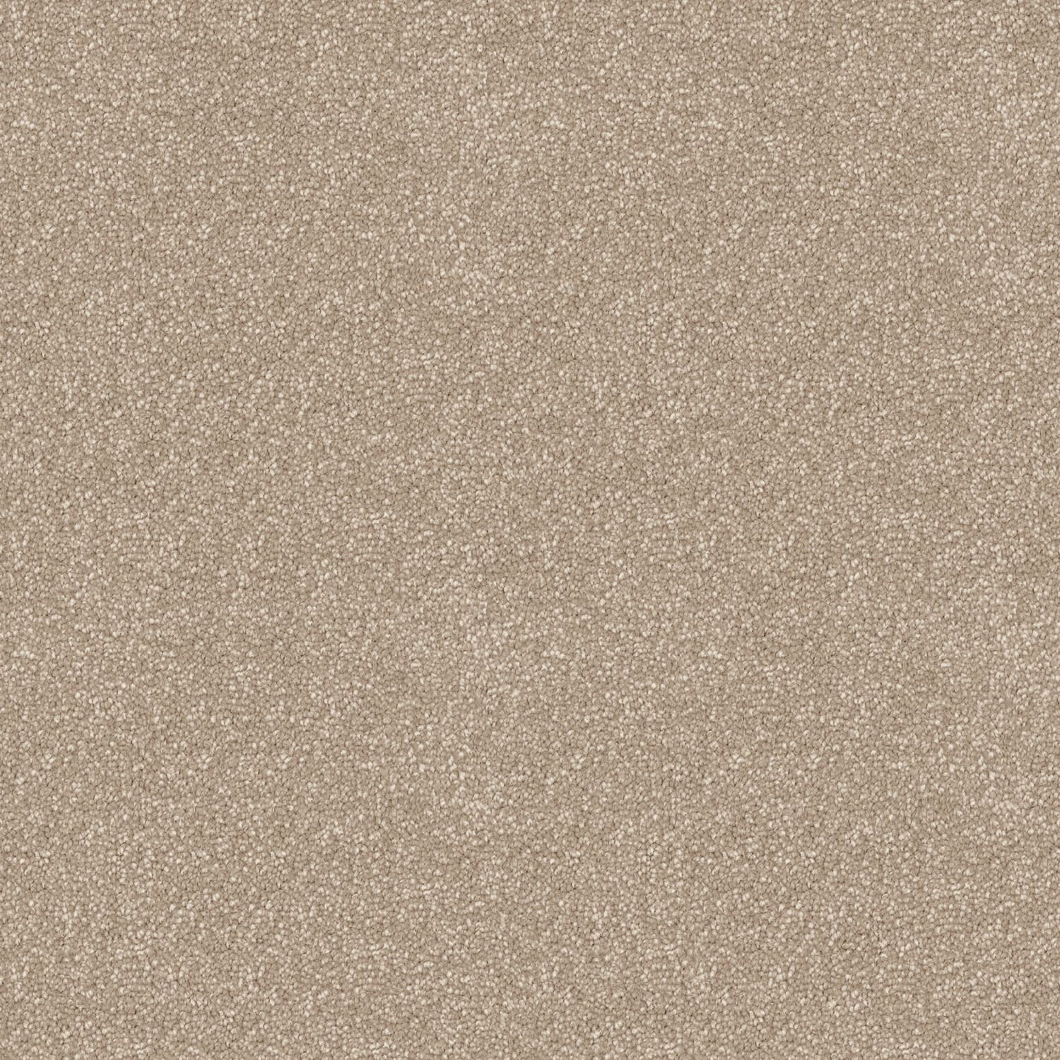 Skyway carpet in Dreamy
