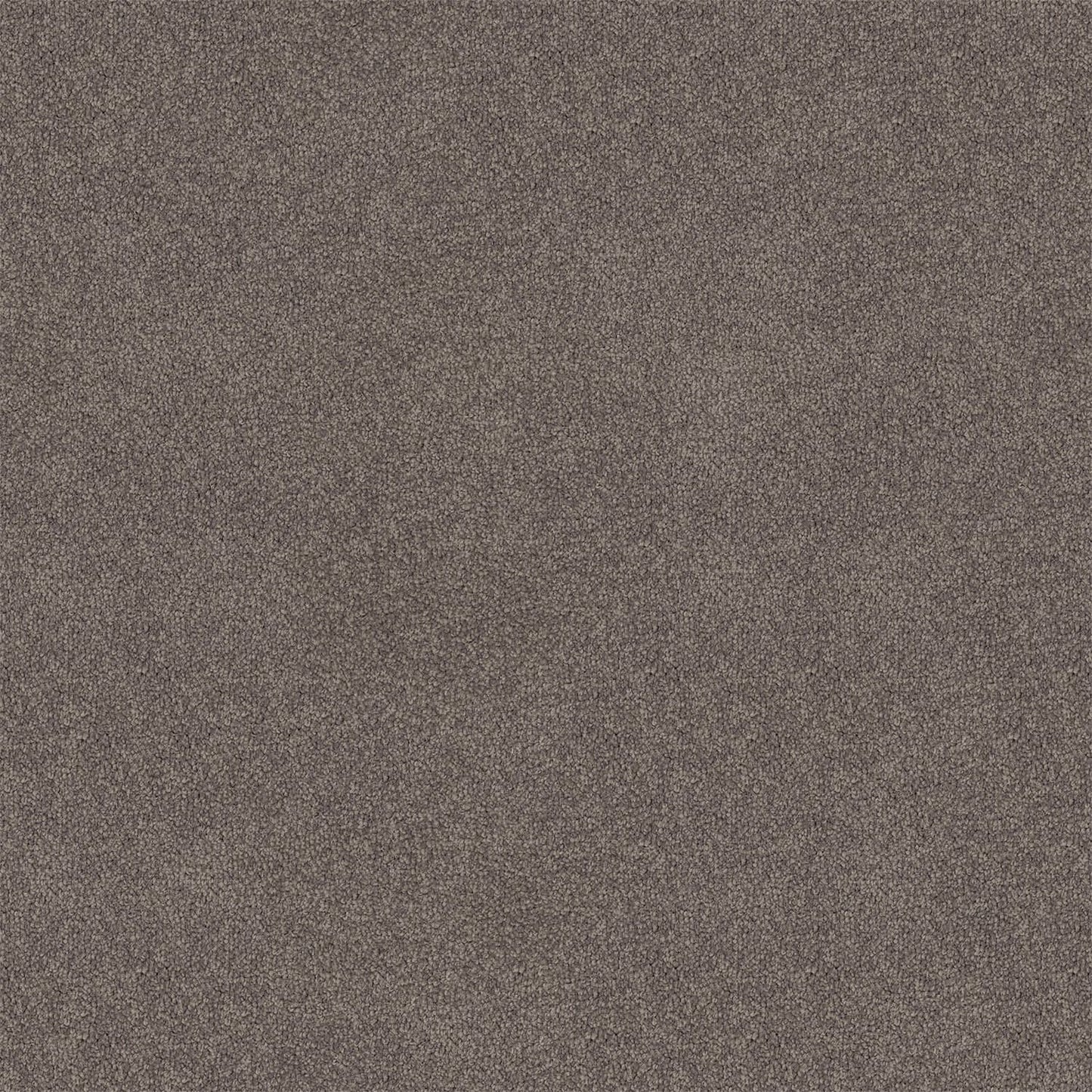 Knights Ridge carpet in Gareth