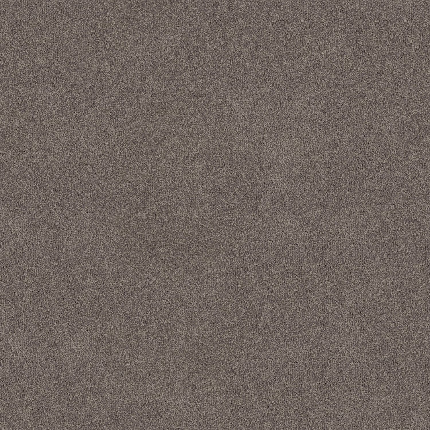Knights Ridge carpet in Gareth