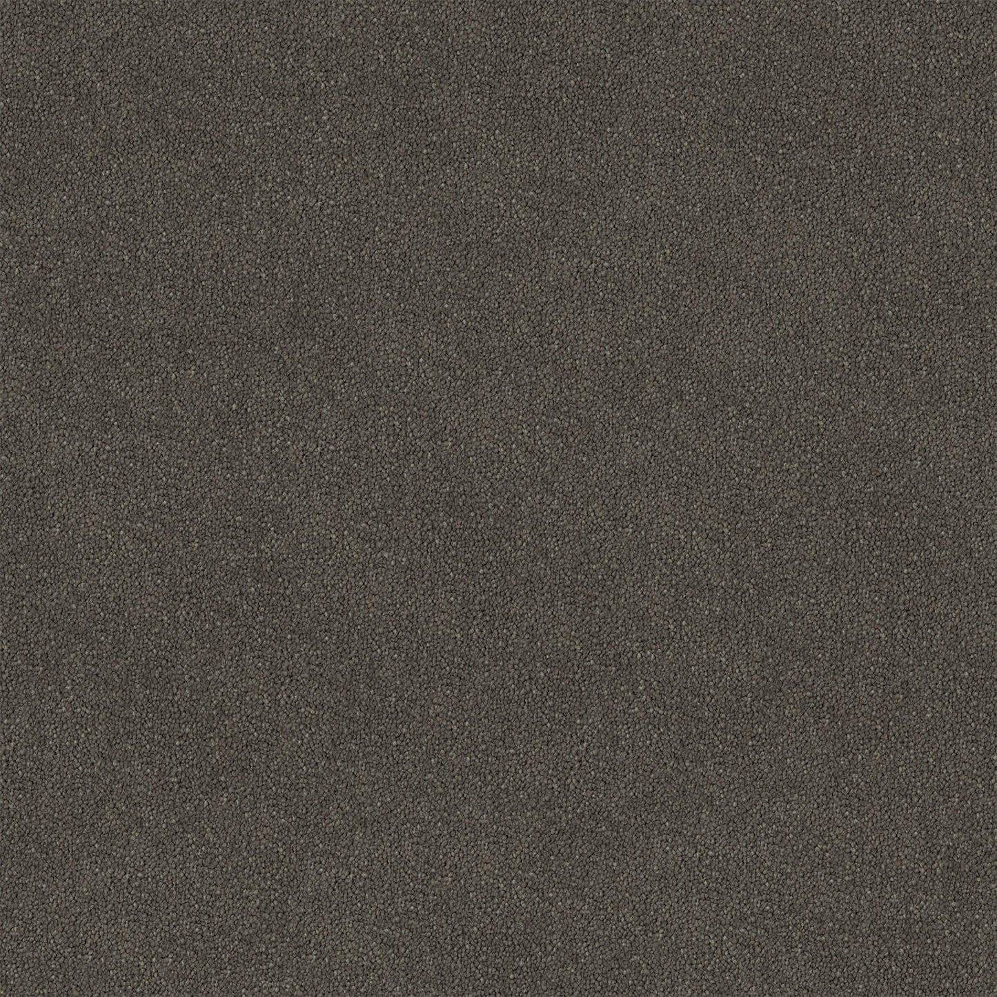 Knights Ridge carpet in Lionel