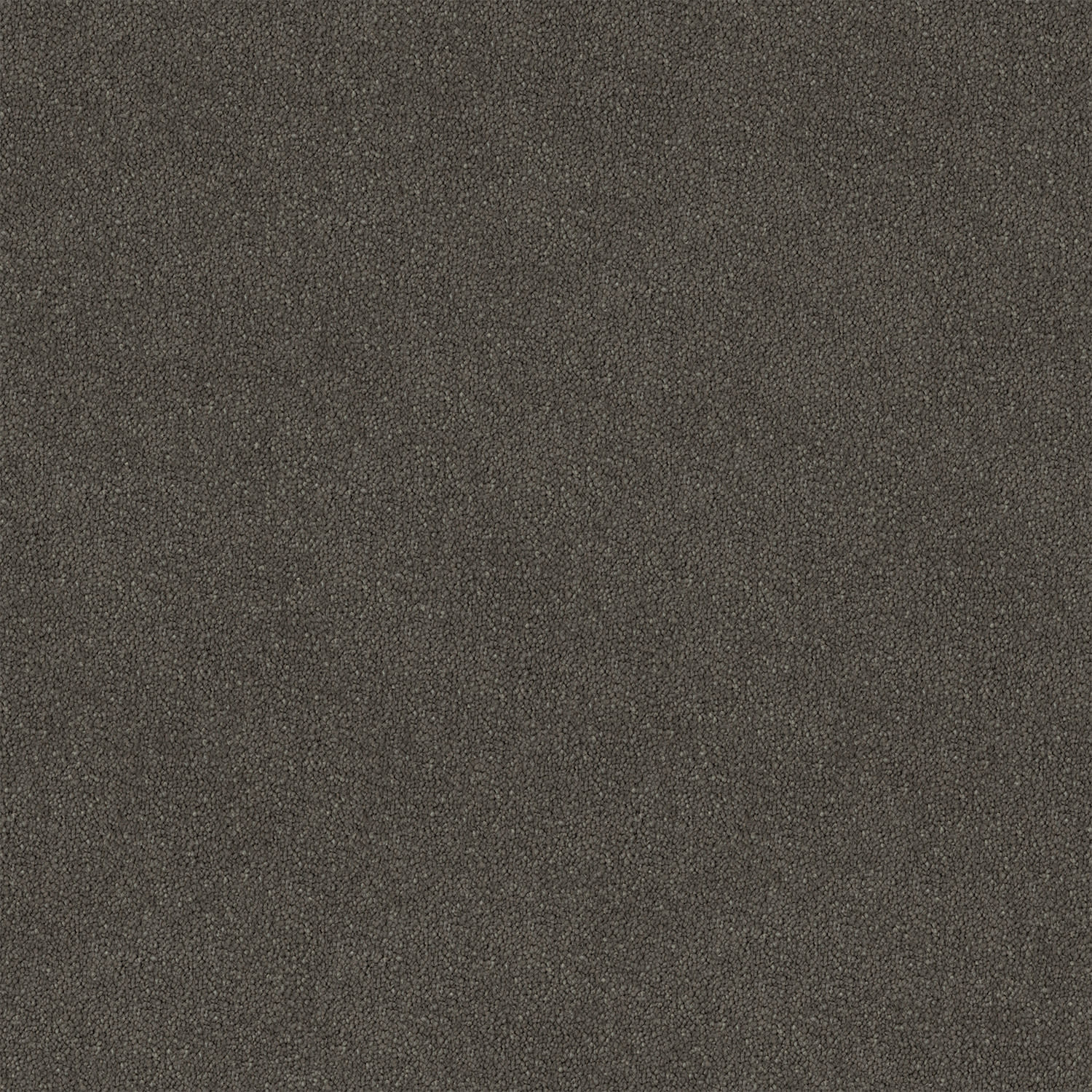 Knights Ridge carpet in Lionel