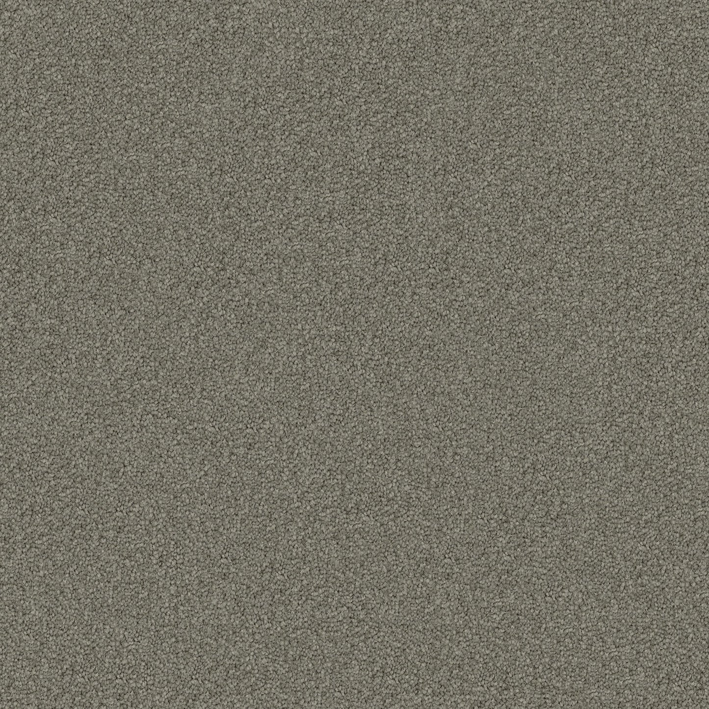 Domain Rise carpet in Luxe Grey