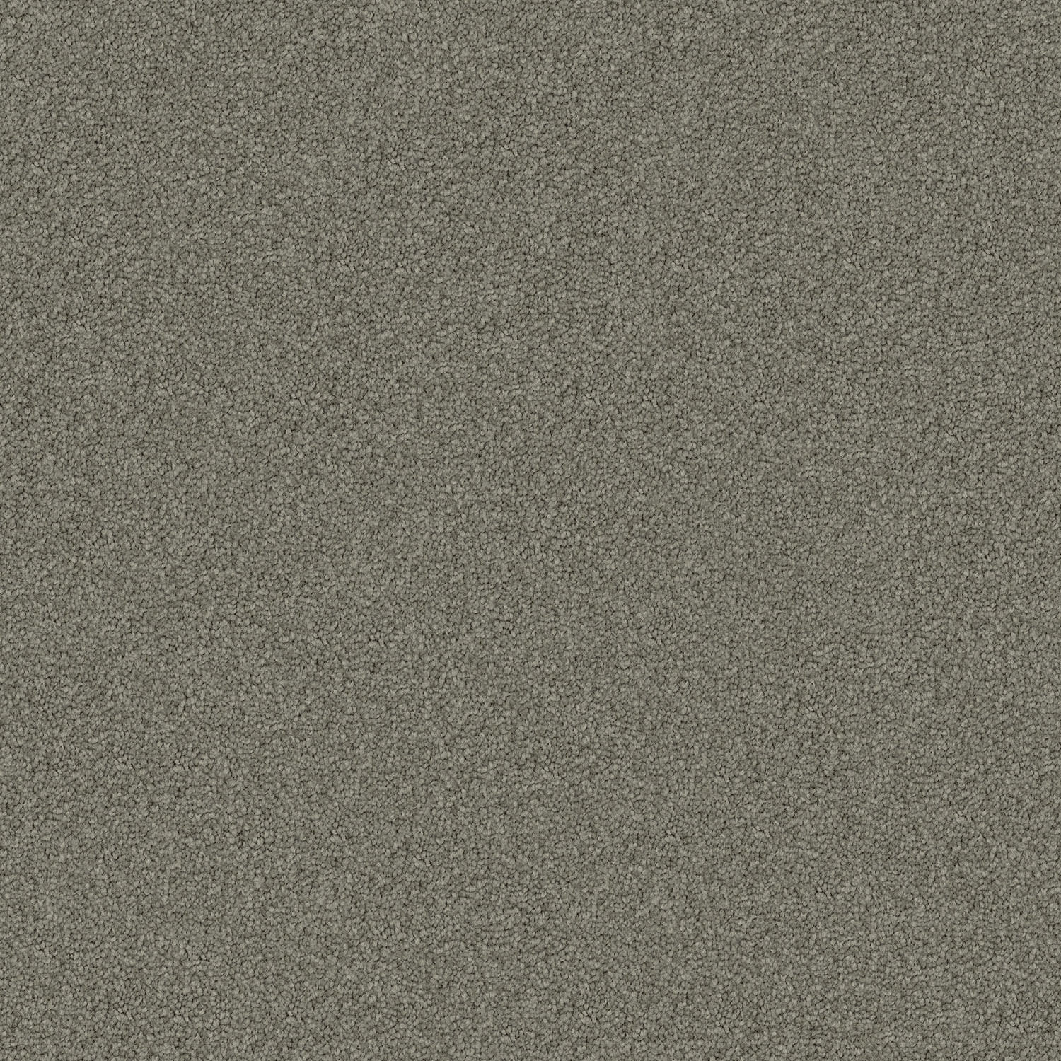 Domain Rise carpet in Luxe Grey