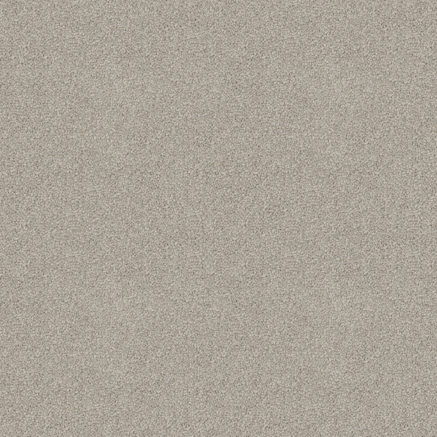 Skyway carpet in Basalt