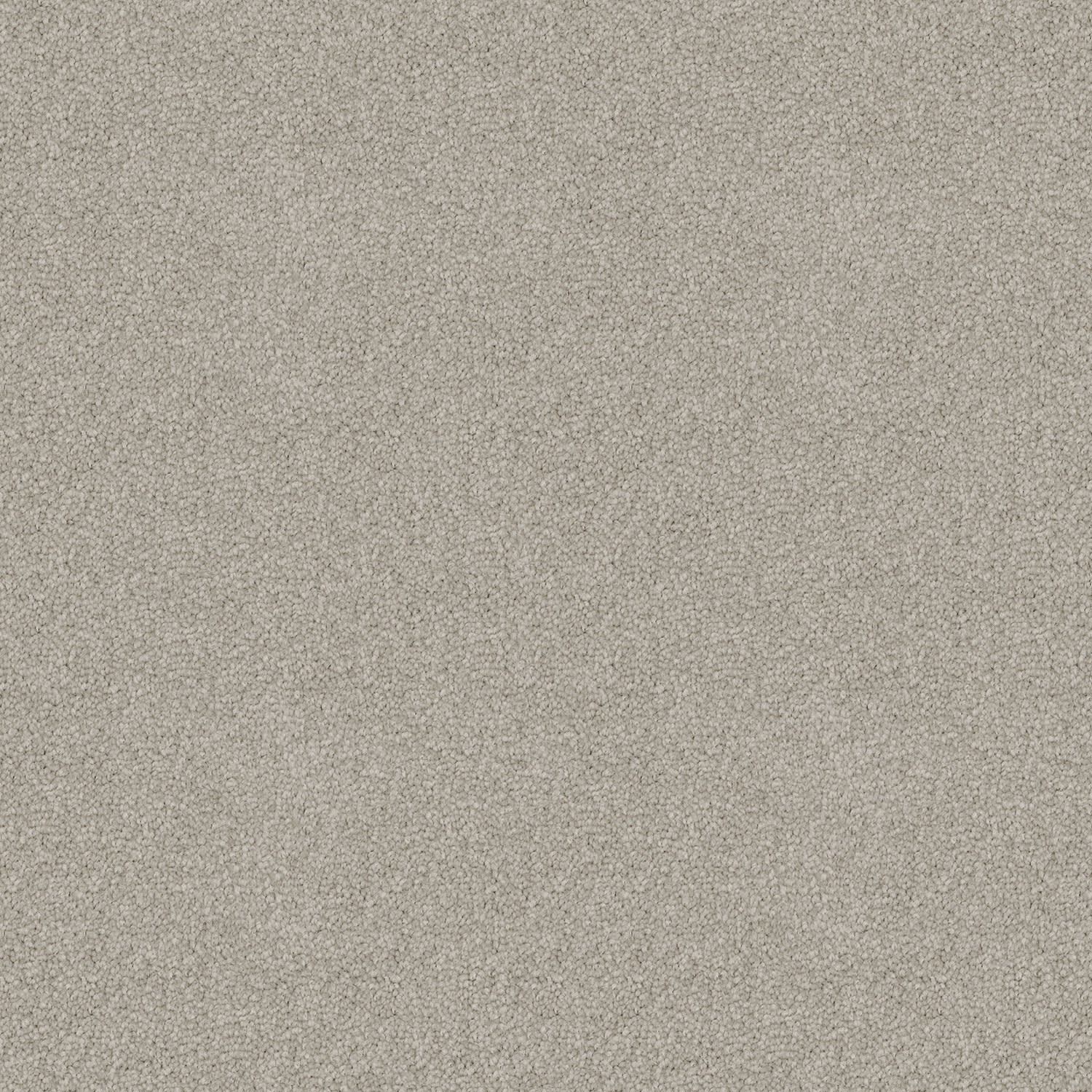 Skyway carpet in Basalt