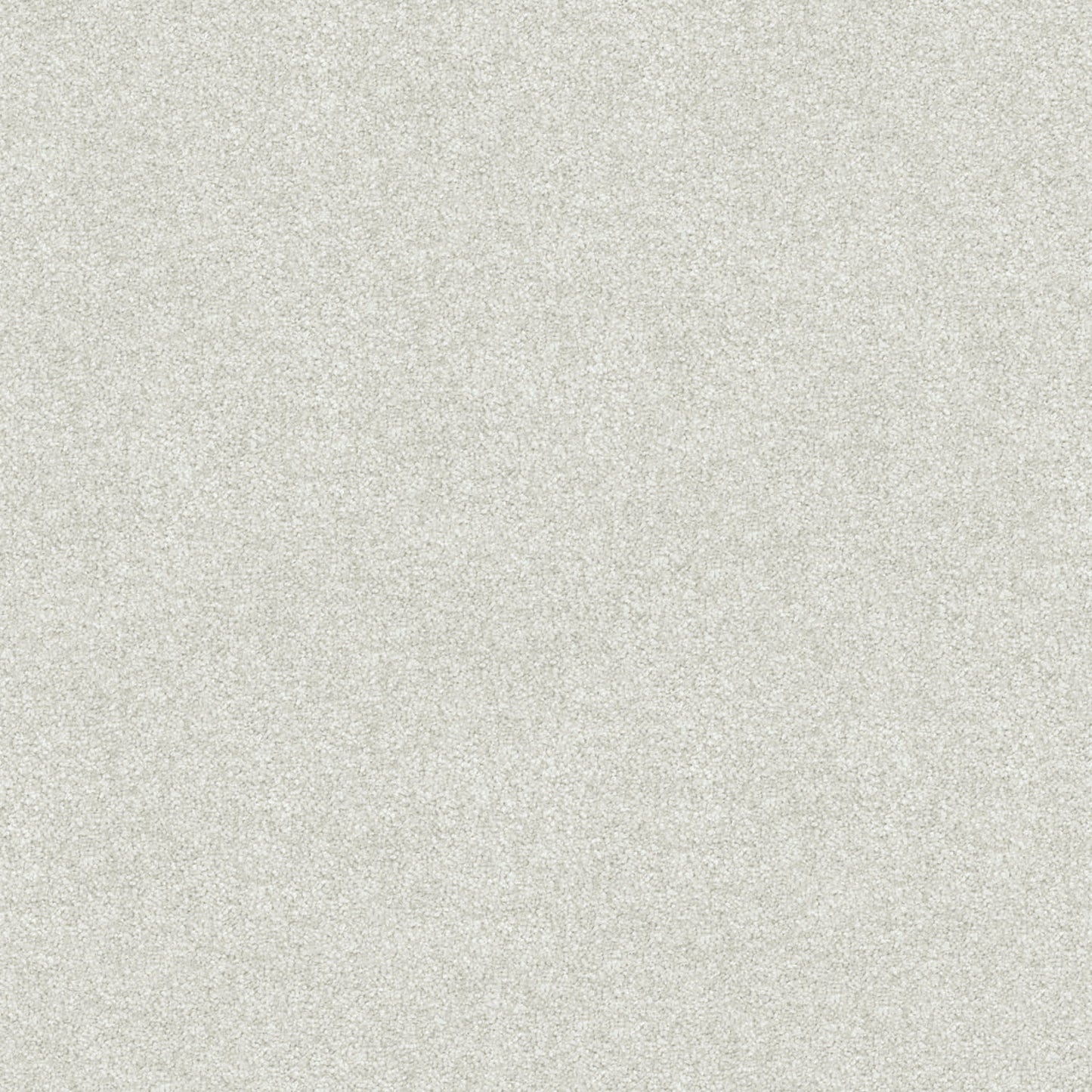 Freedom carpet in Pigeon