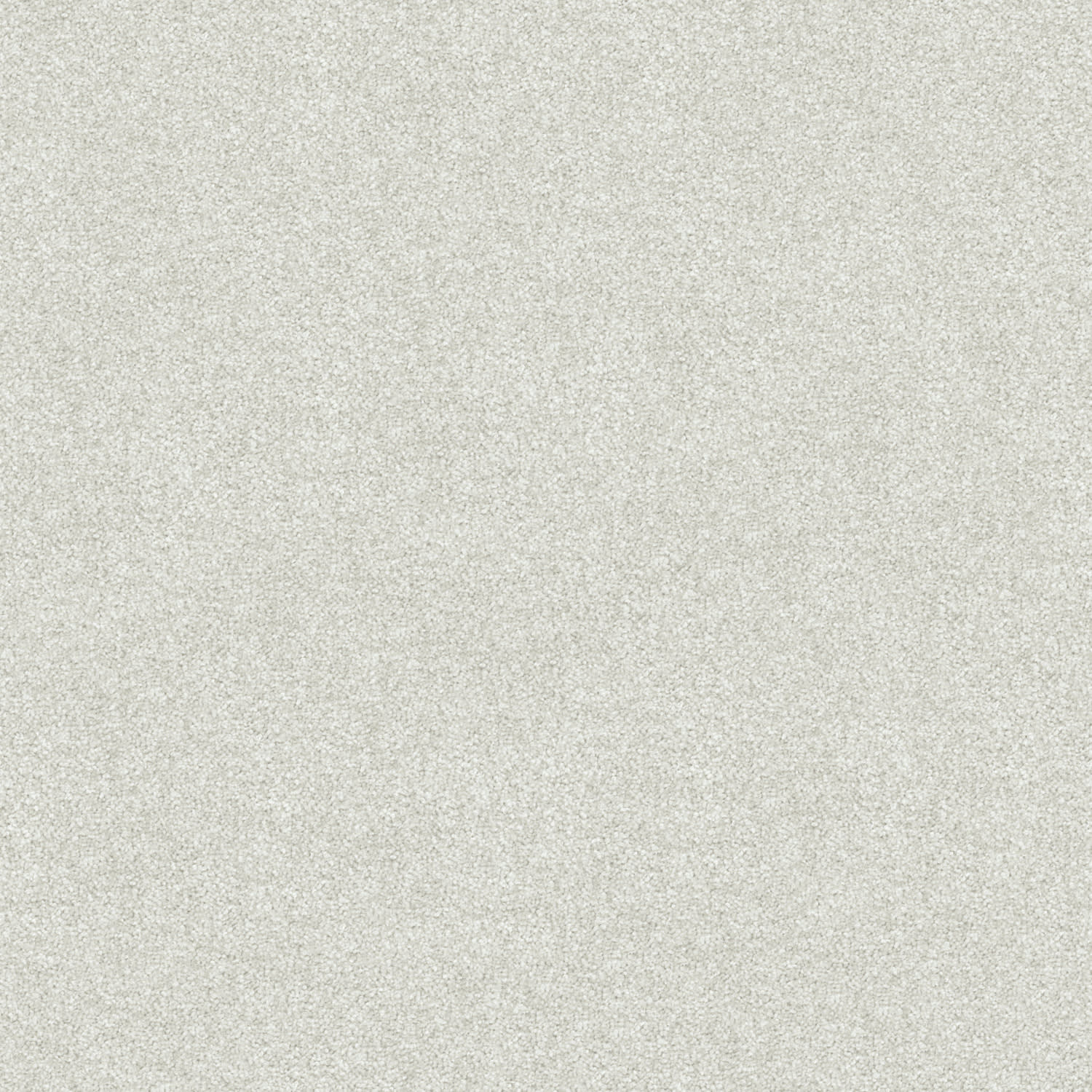 Freedom carpet in Pigeon