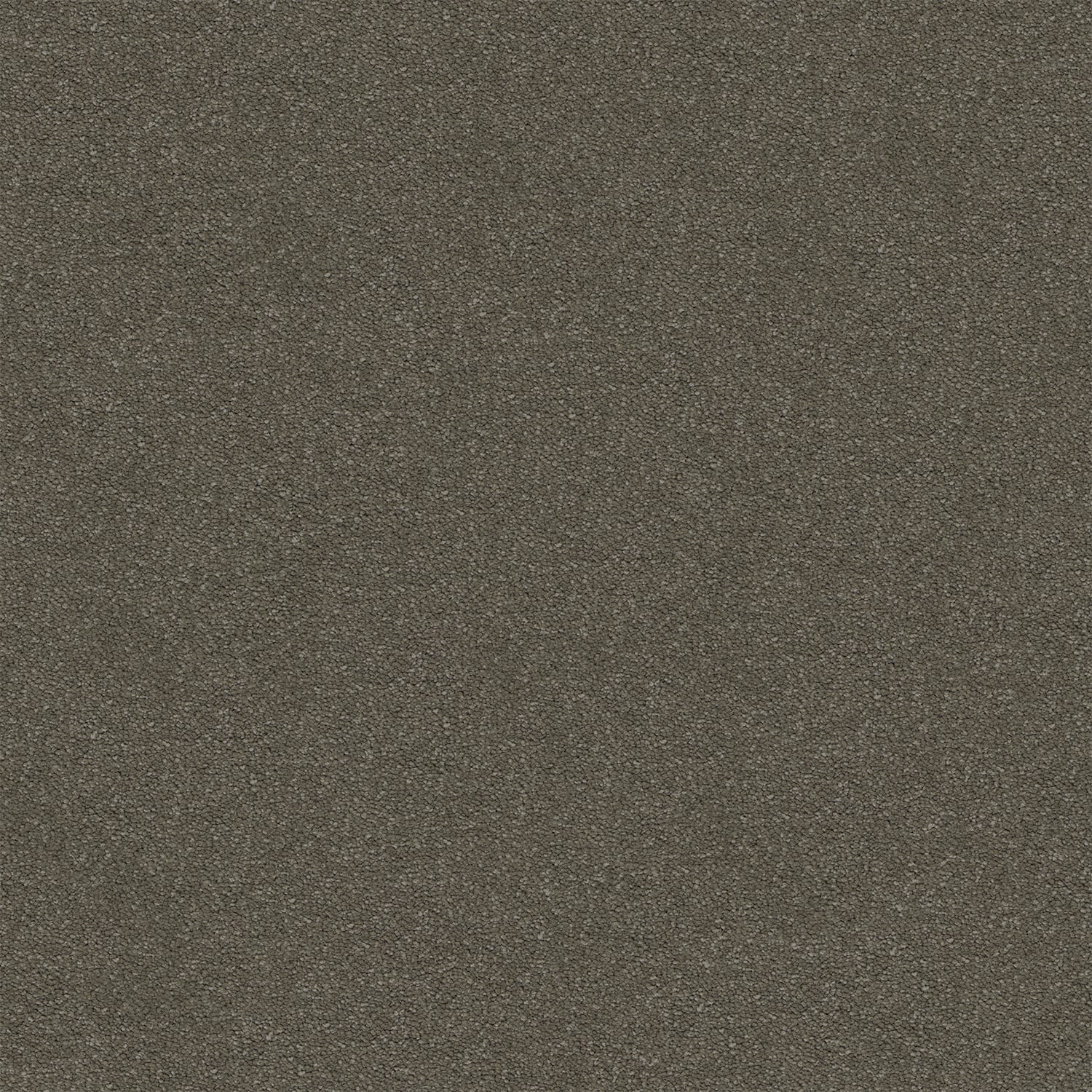 Dream Shadows carpet in Buffalo