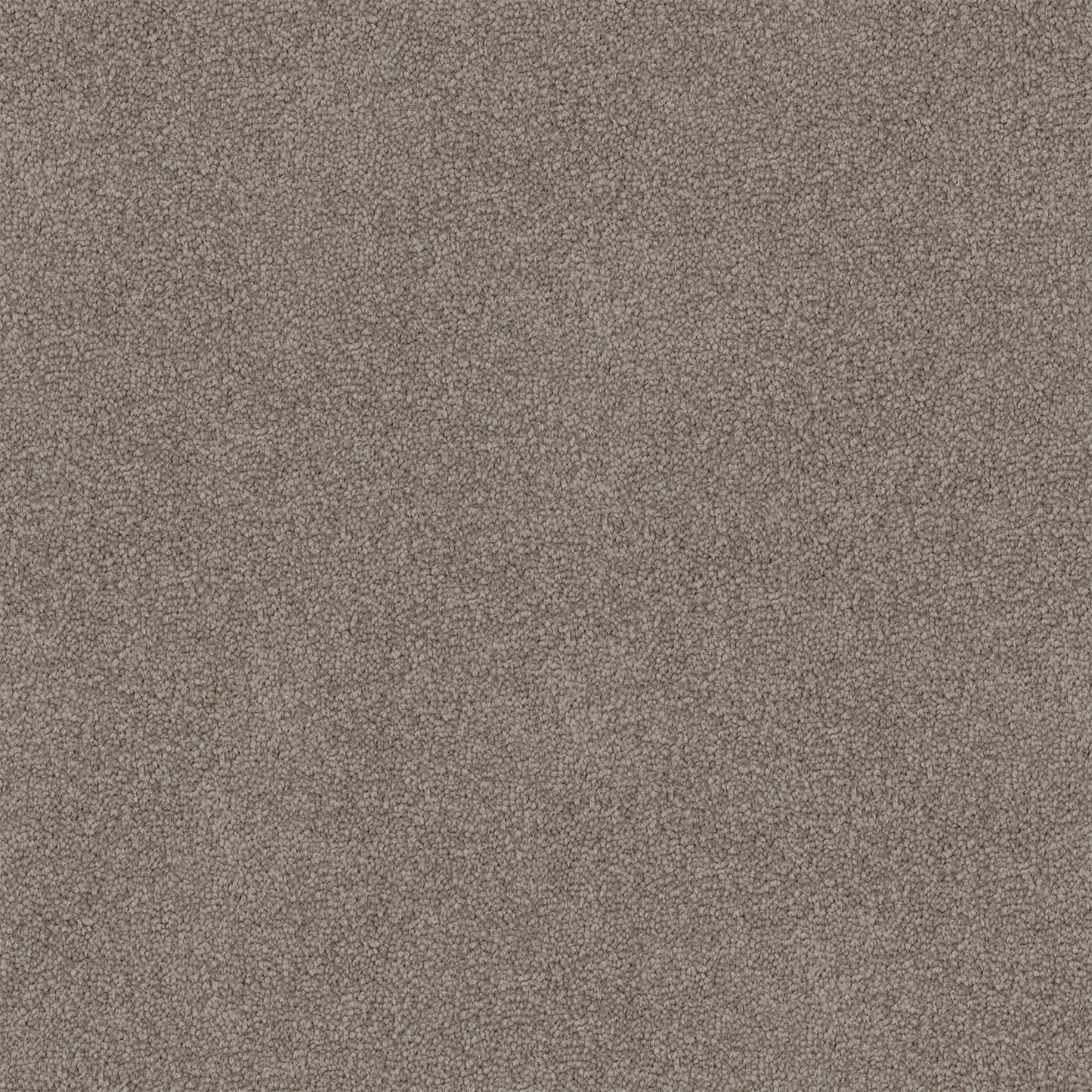 Mountain Chalet carpet in Summit