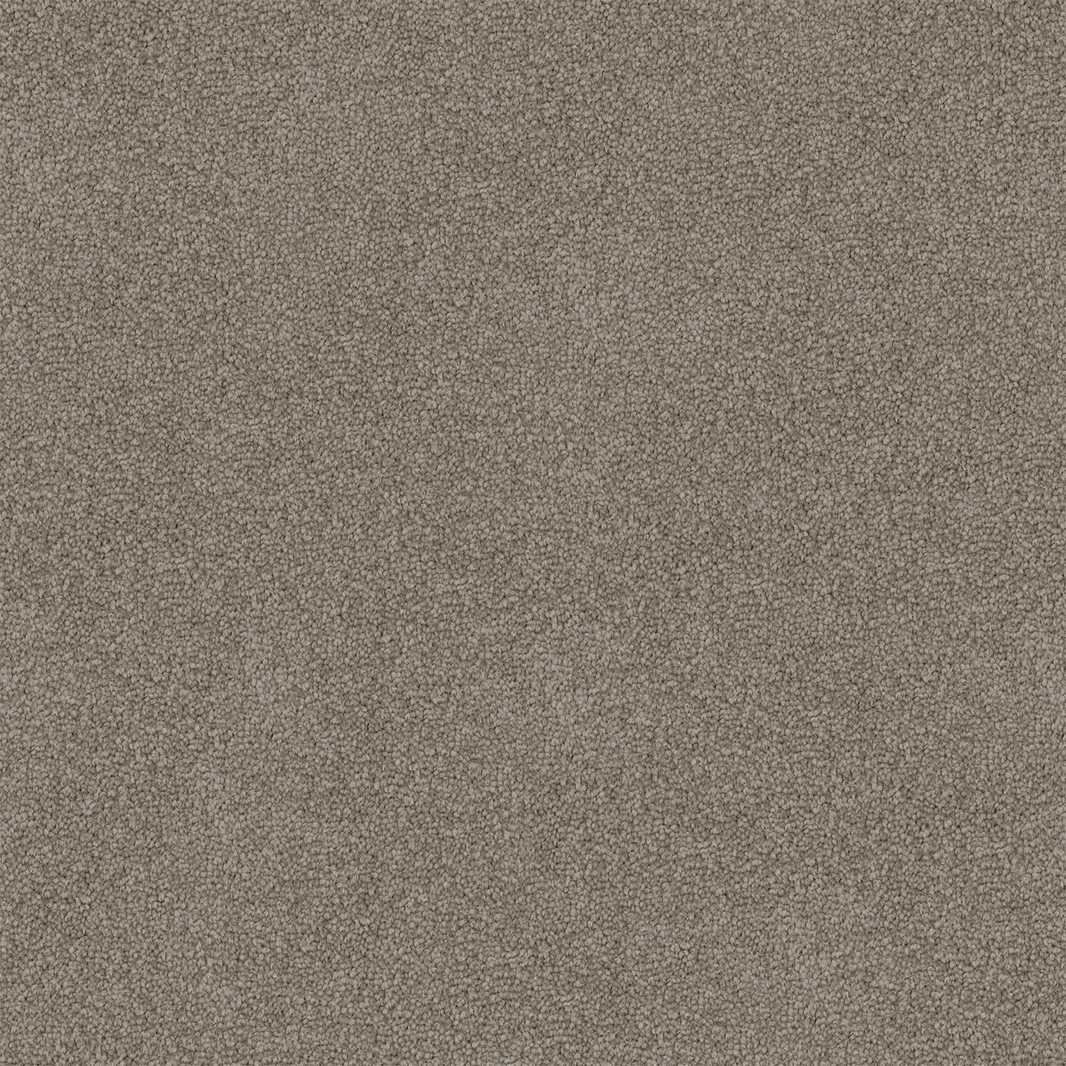 Mountain Chalet carpet in Summit