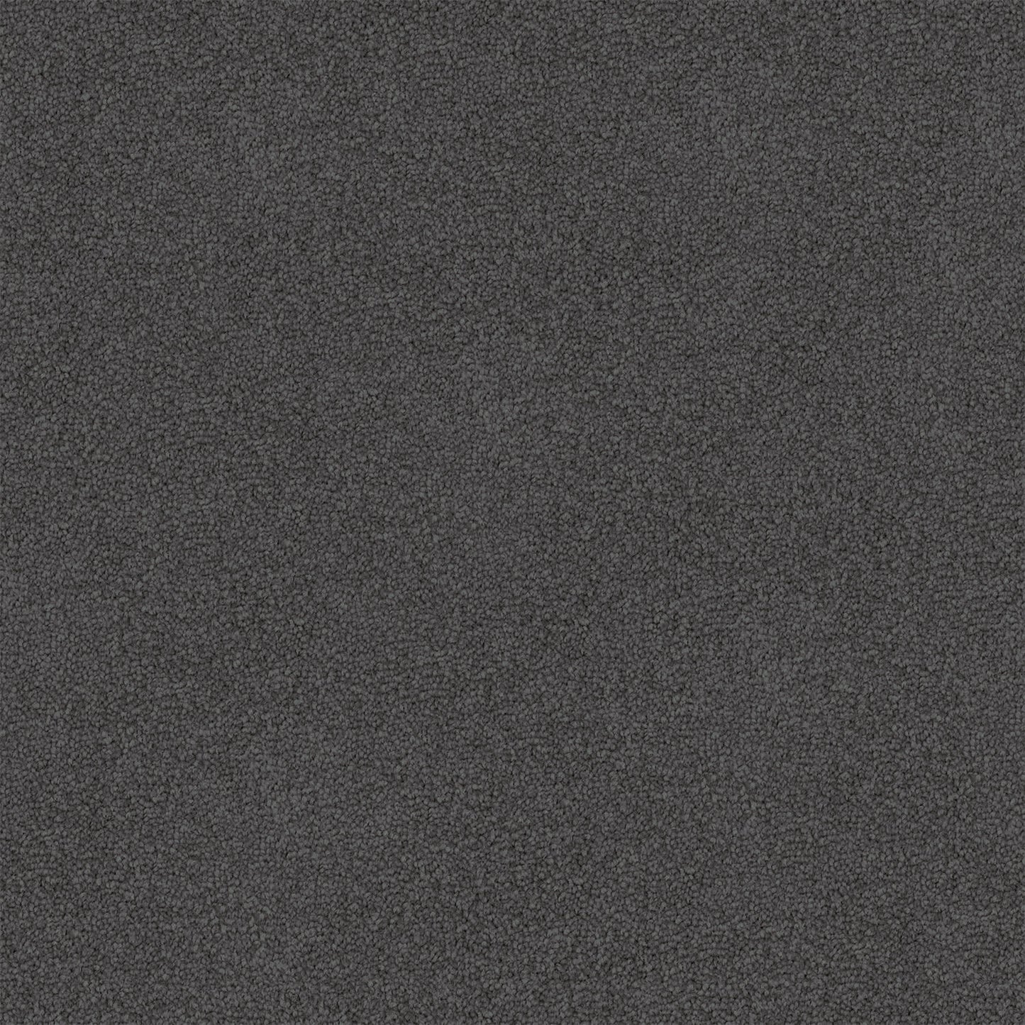 Dawn Rise carpet in Ebony